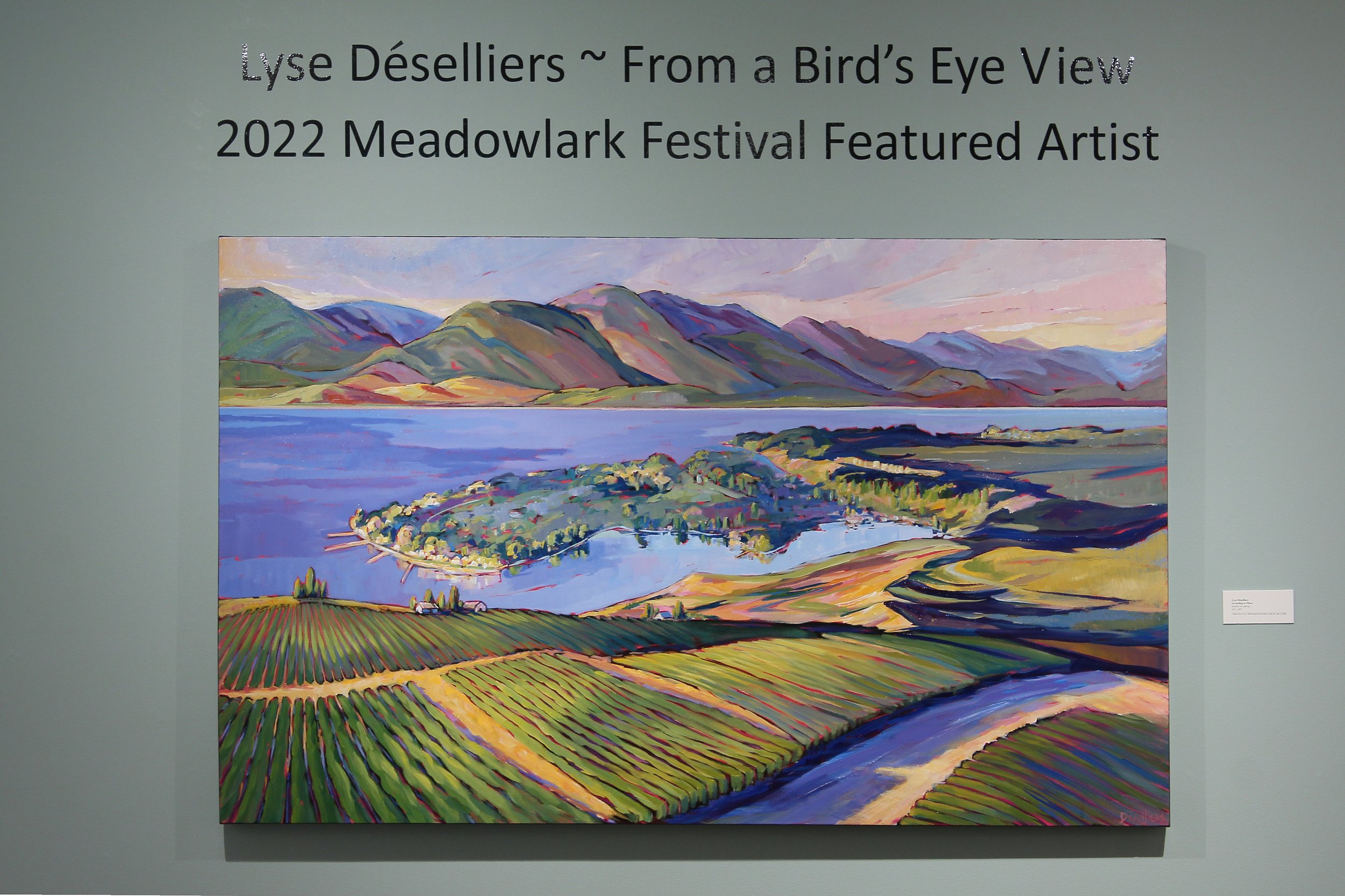 meadowlark-birdseyeview-deselliers-20220530-001.JPG