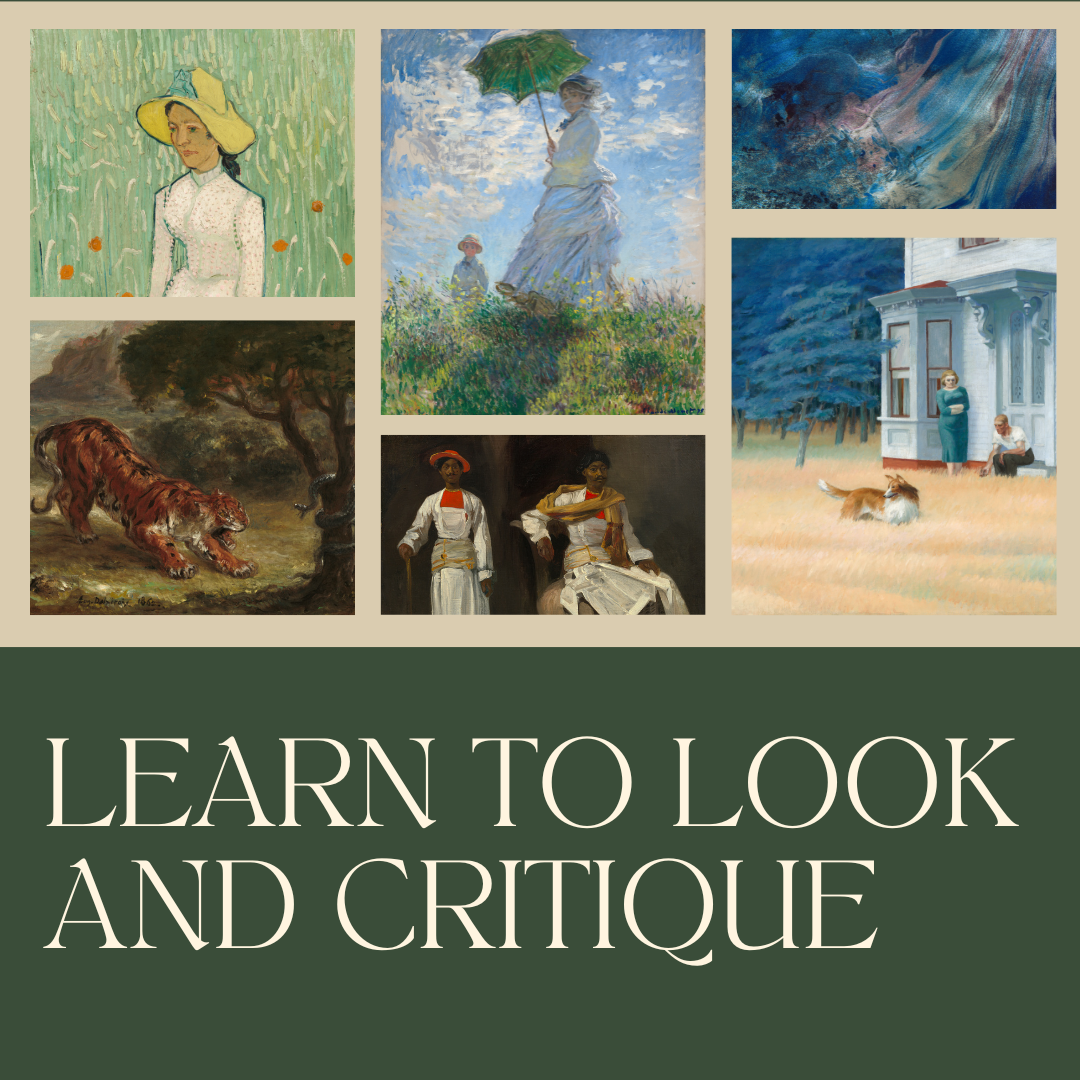 Learn to Look and Critique
