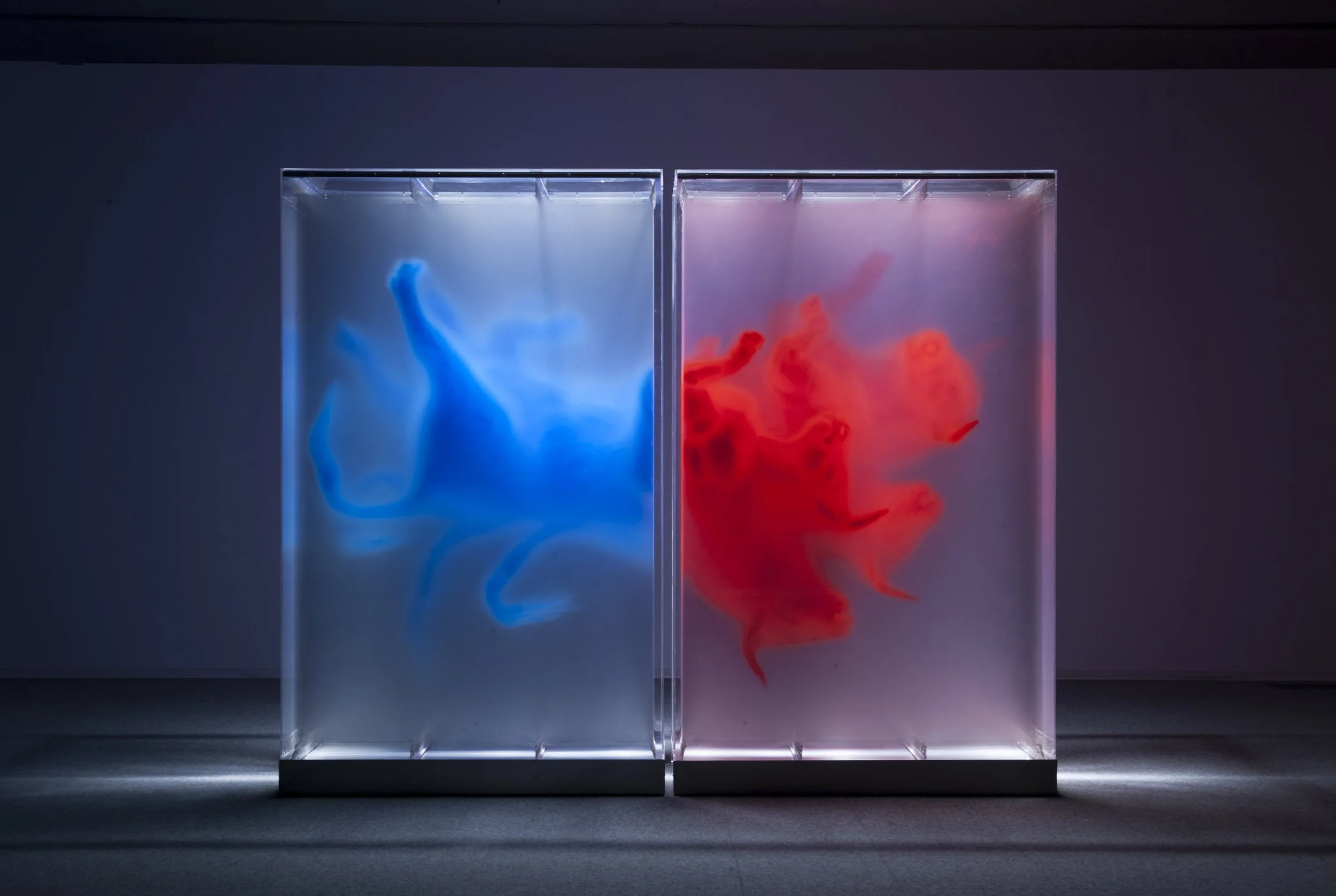 David Spriggs Paradox of Power 02.jpg