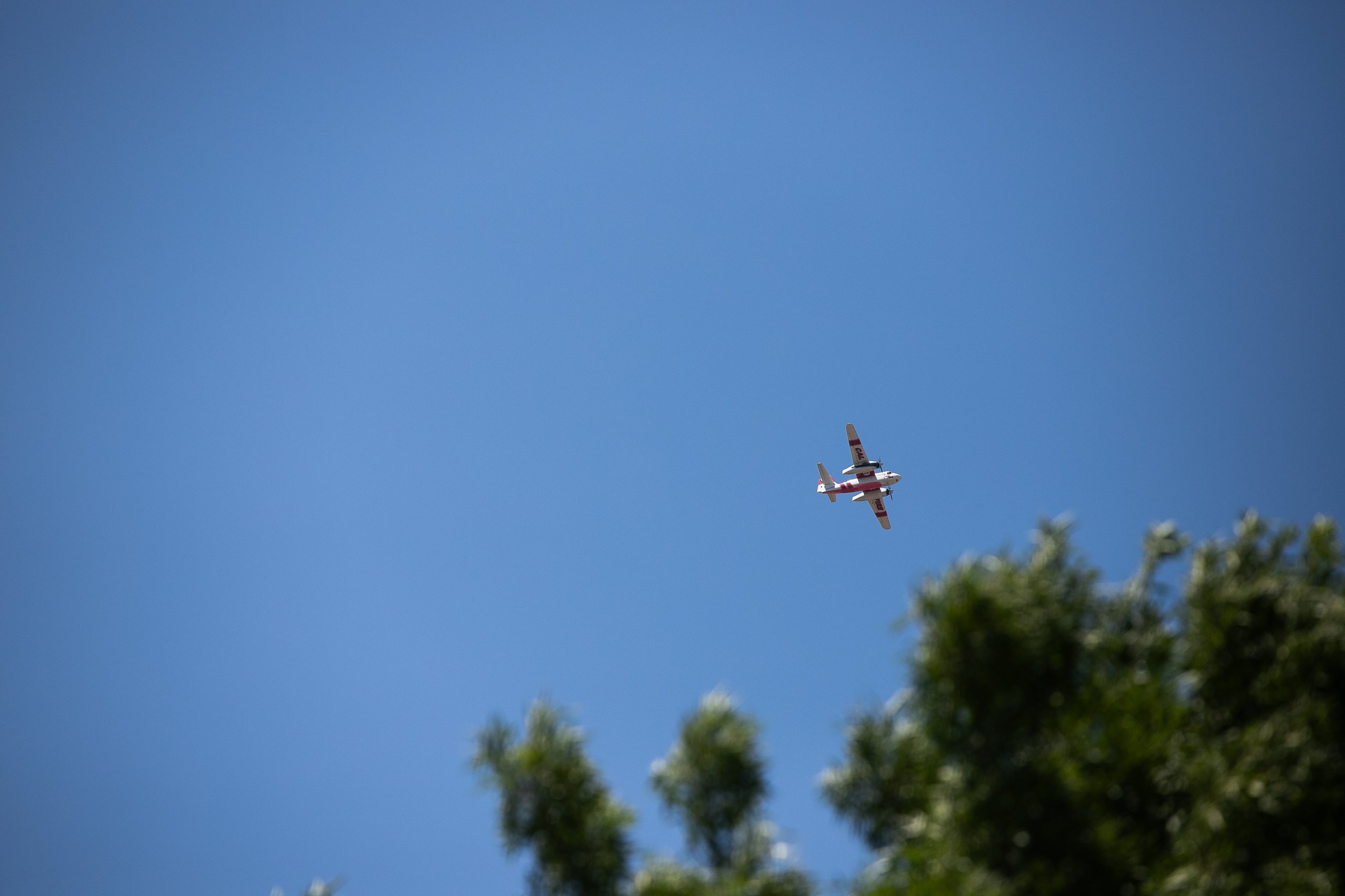 IMG_6383.jpg