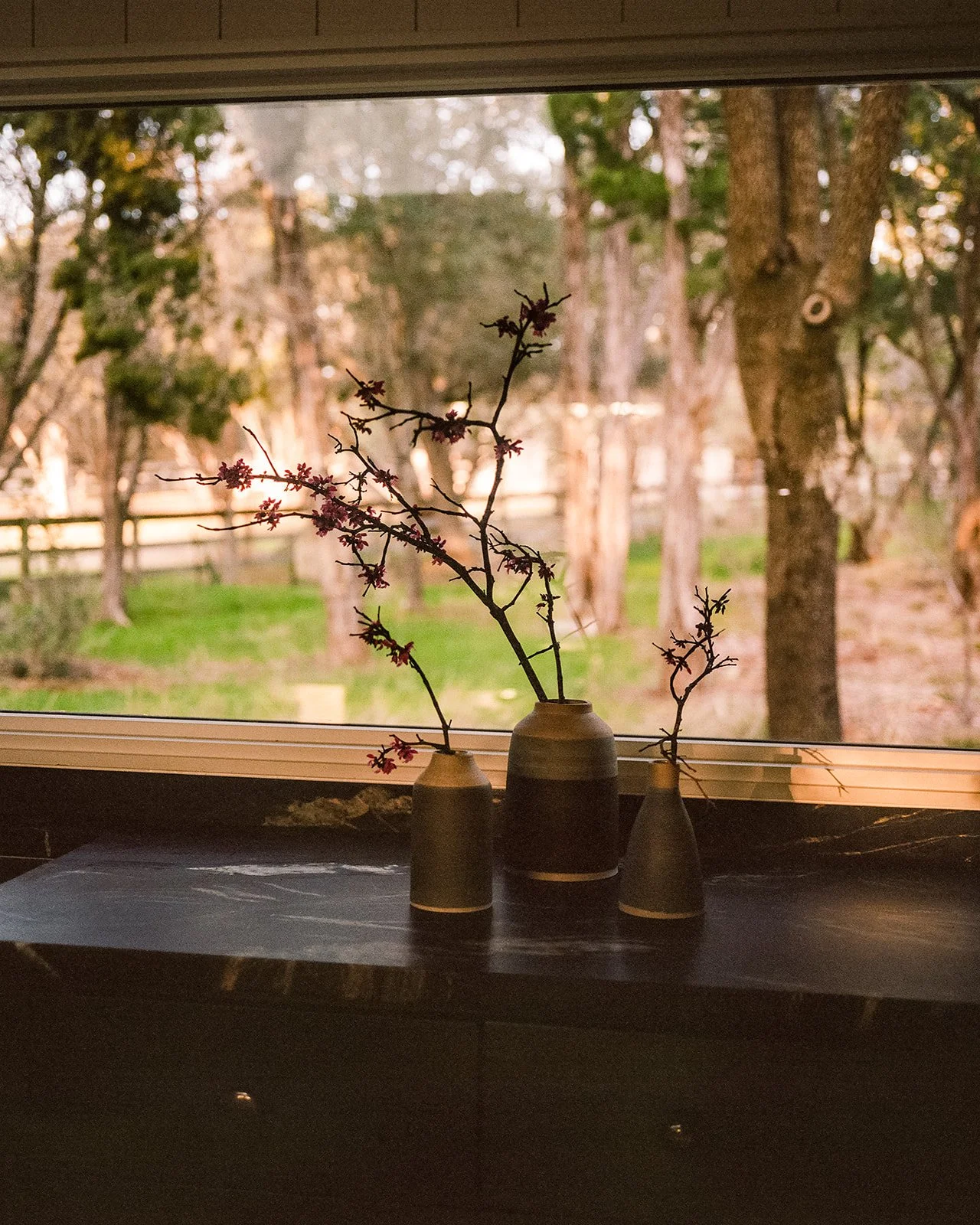 Soapstone Counter with organic plants from site