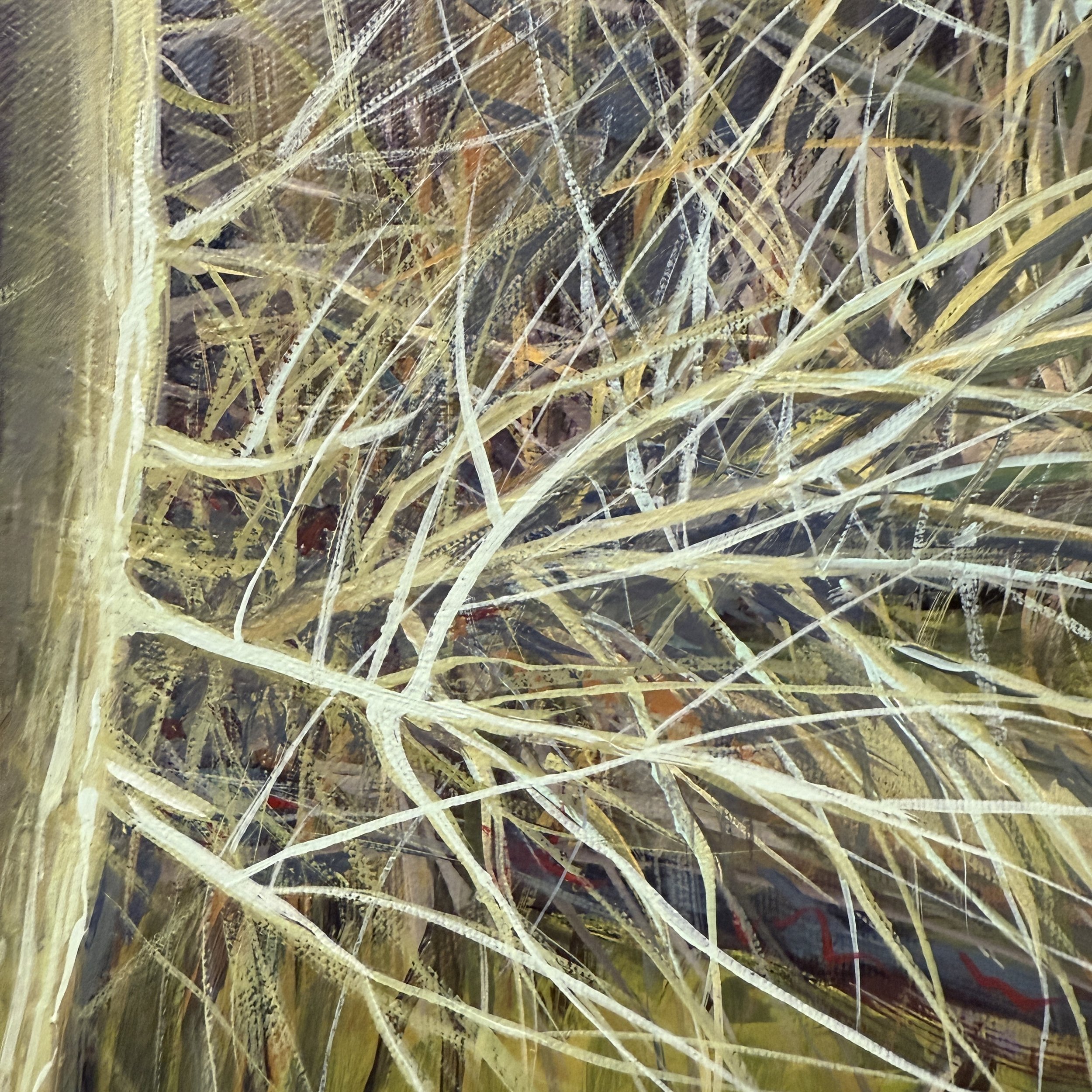 IMG_5049.jpeg