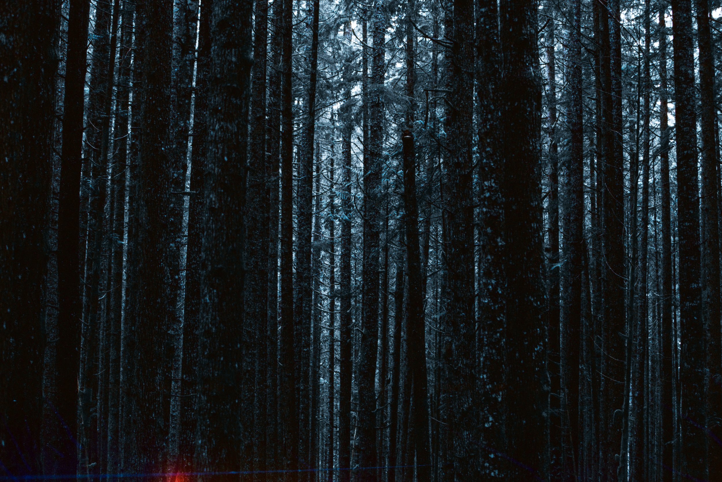 Ghost_Machine-40.jpg