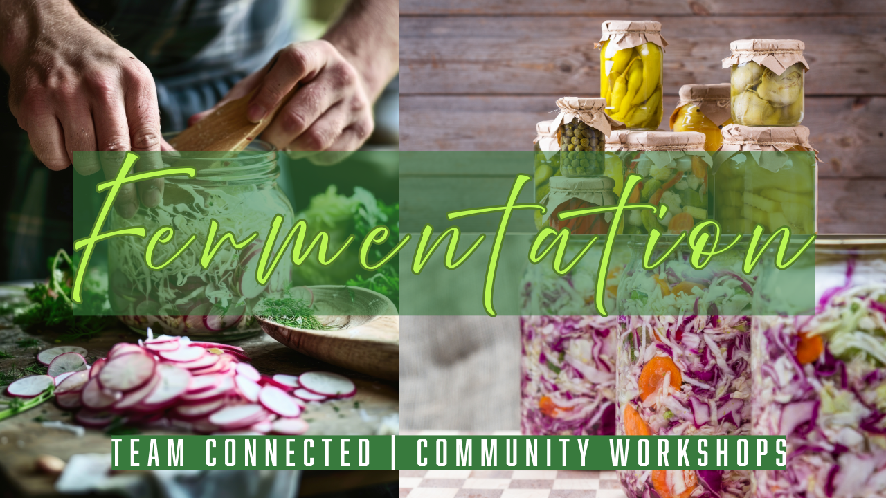 Team Connected | World Connected | Fermentation Workshops in the Lakes Region