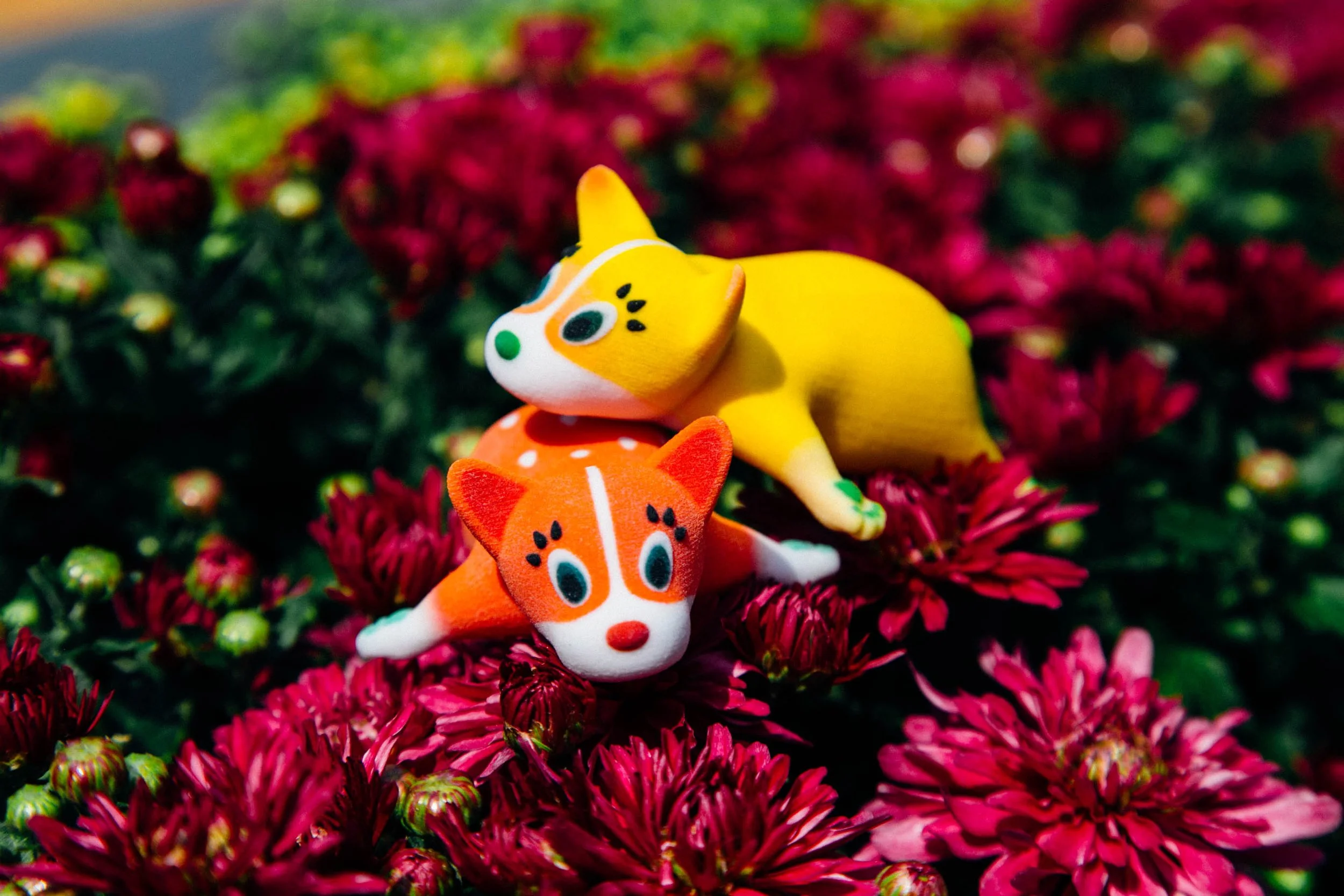 KakaoTalk_Photo_2017-06-11-23-38-04_60.jpeg