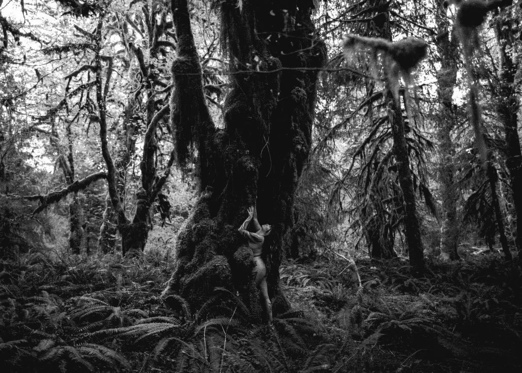 Missing the mossy wild 🌿