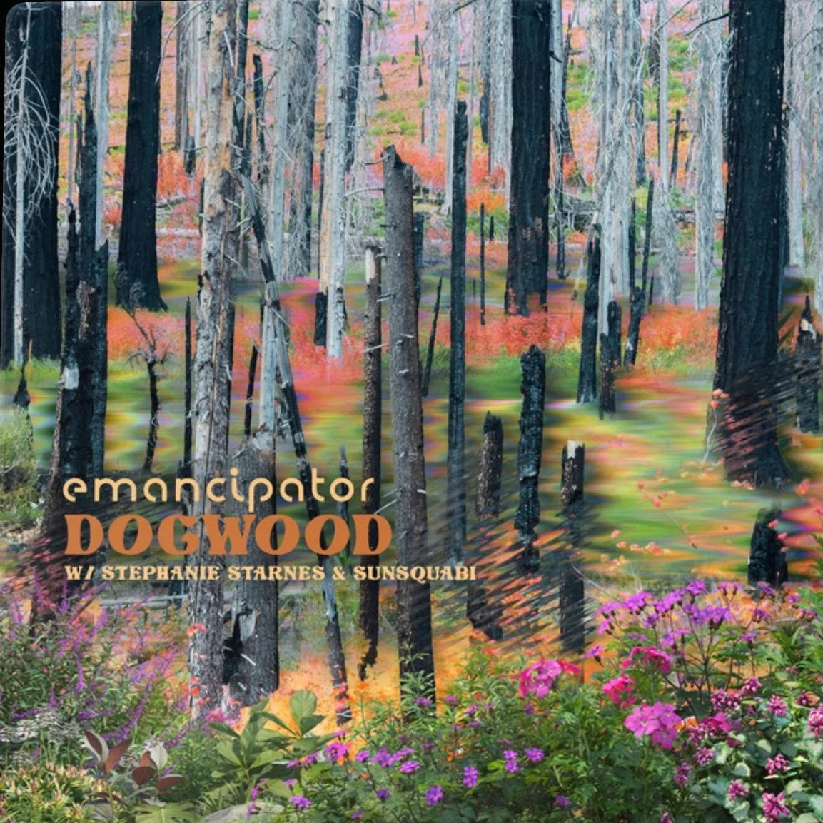 Have you heard @emancipator &lsquo;s newest album, Chrysalis?  You&rsquo;ll hear my voice in the mix on Dogwood, Thirty-three, Moray, and Tiger Moth&hellip;as well as on the previous release Cherry Blossom from a couple years ago.  I had a feeling I 