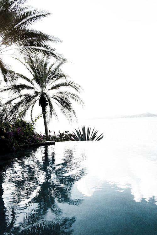 palm_pool.jpg