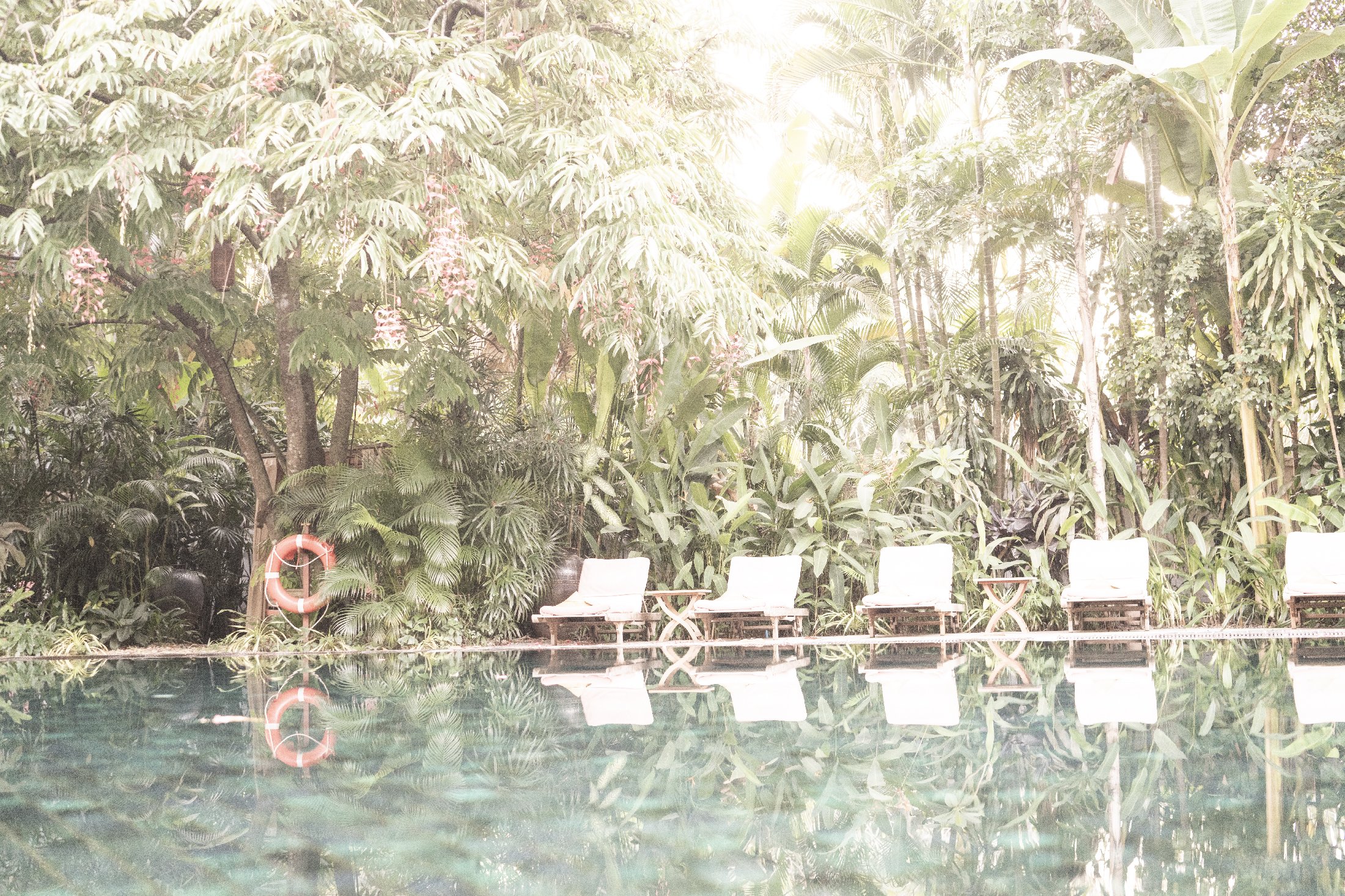 jungle pool.jpg