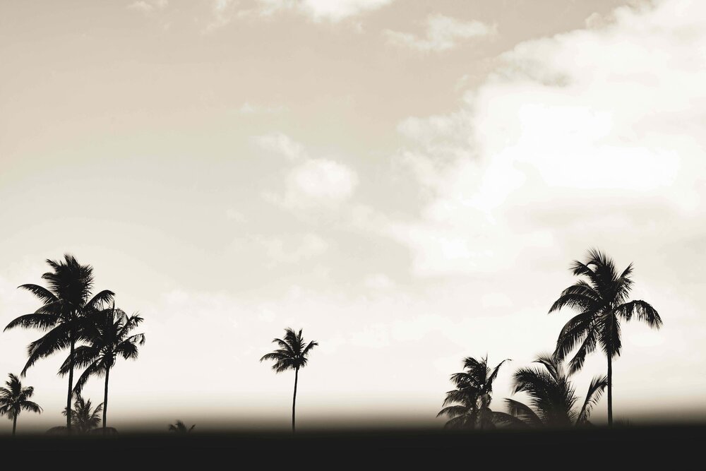 Sepia+Palms+Smalller.jpg