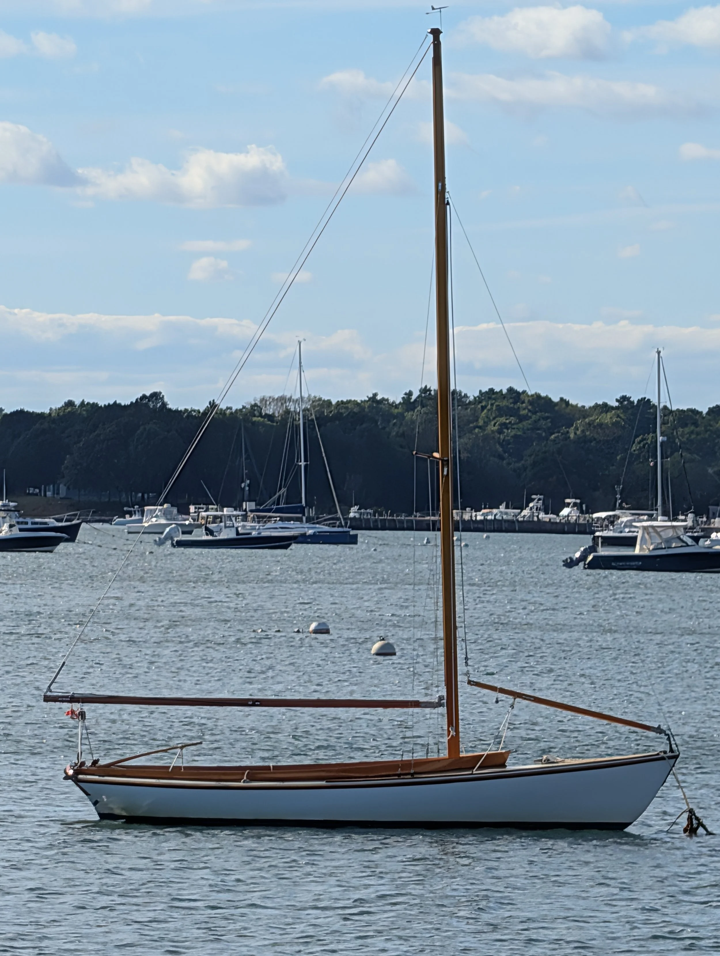 Buzzards Bay 14 For Sale