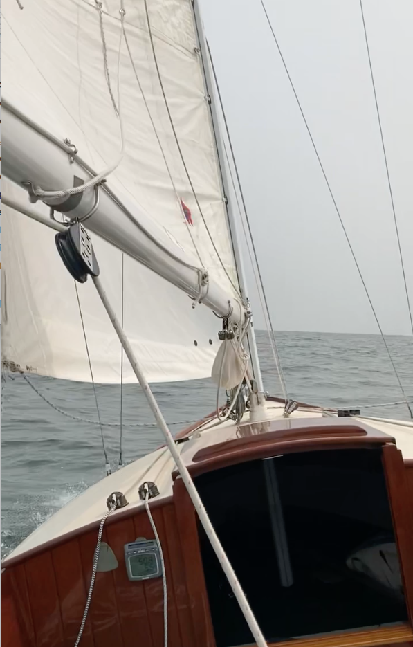 VIRGINIA B, 2001 LS26