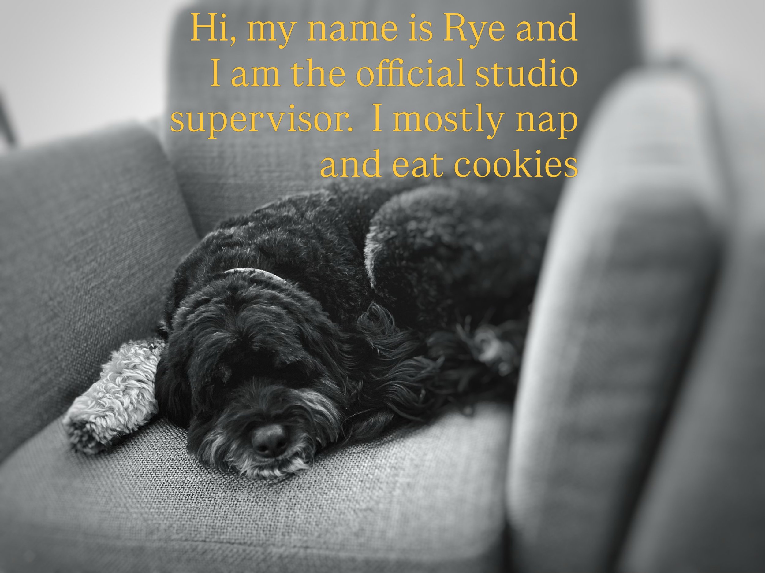 Studio supervisor - Rye