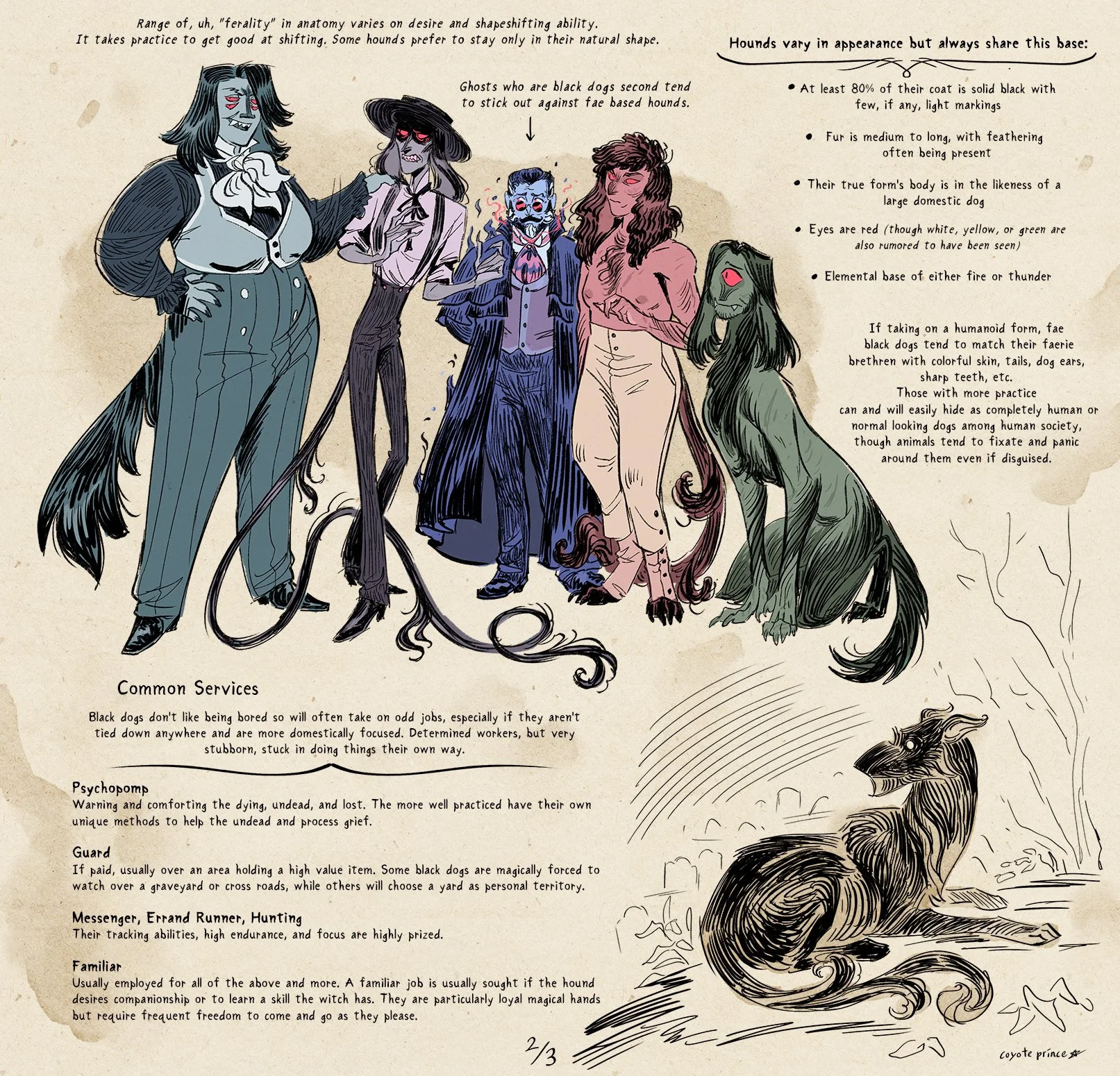 black dog info 2.jpg