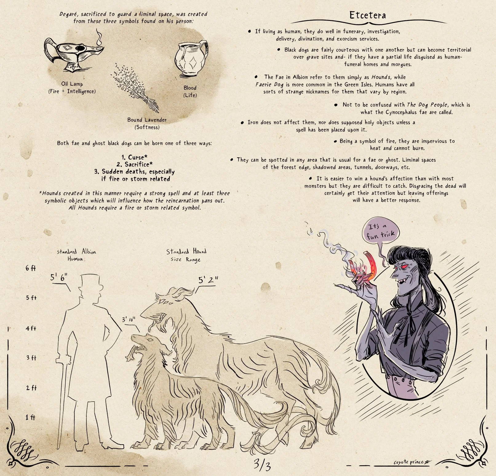 black dog info 3.jpg