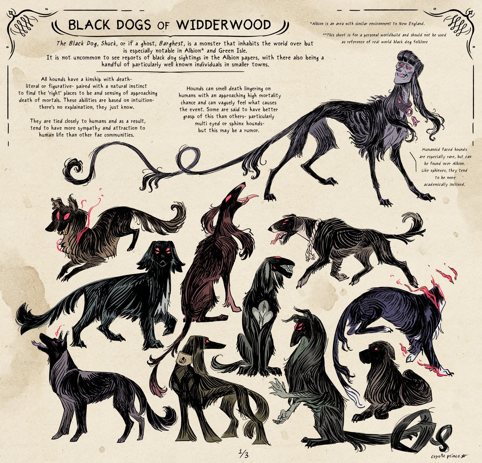 black dog info 1.jpg