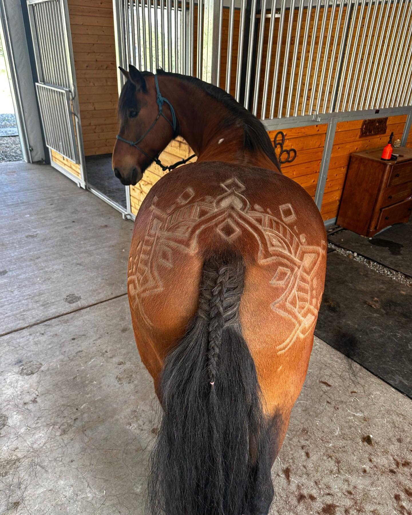 Check out Dutch&rsquo;s fancy shave design Bethany created!🤩