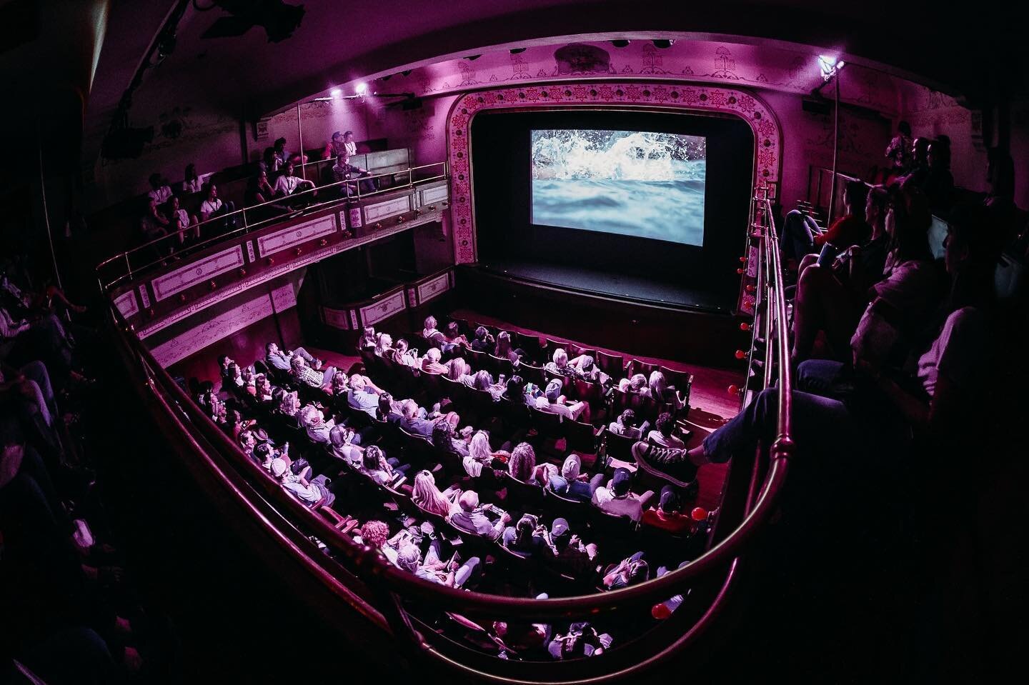 Watching a film on the big screen that you spent countless months and all nighters working on is a feeling like no other. My goal is to get back to @mountainfilm next year with a new film 🙌🏻 

Skin Swimmer will be screening at the @maineoutdoorfilm