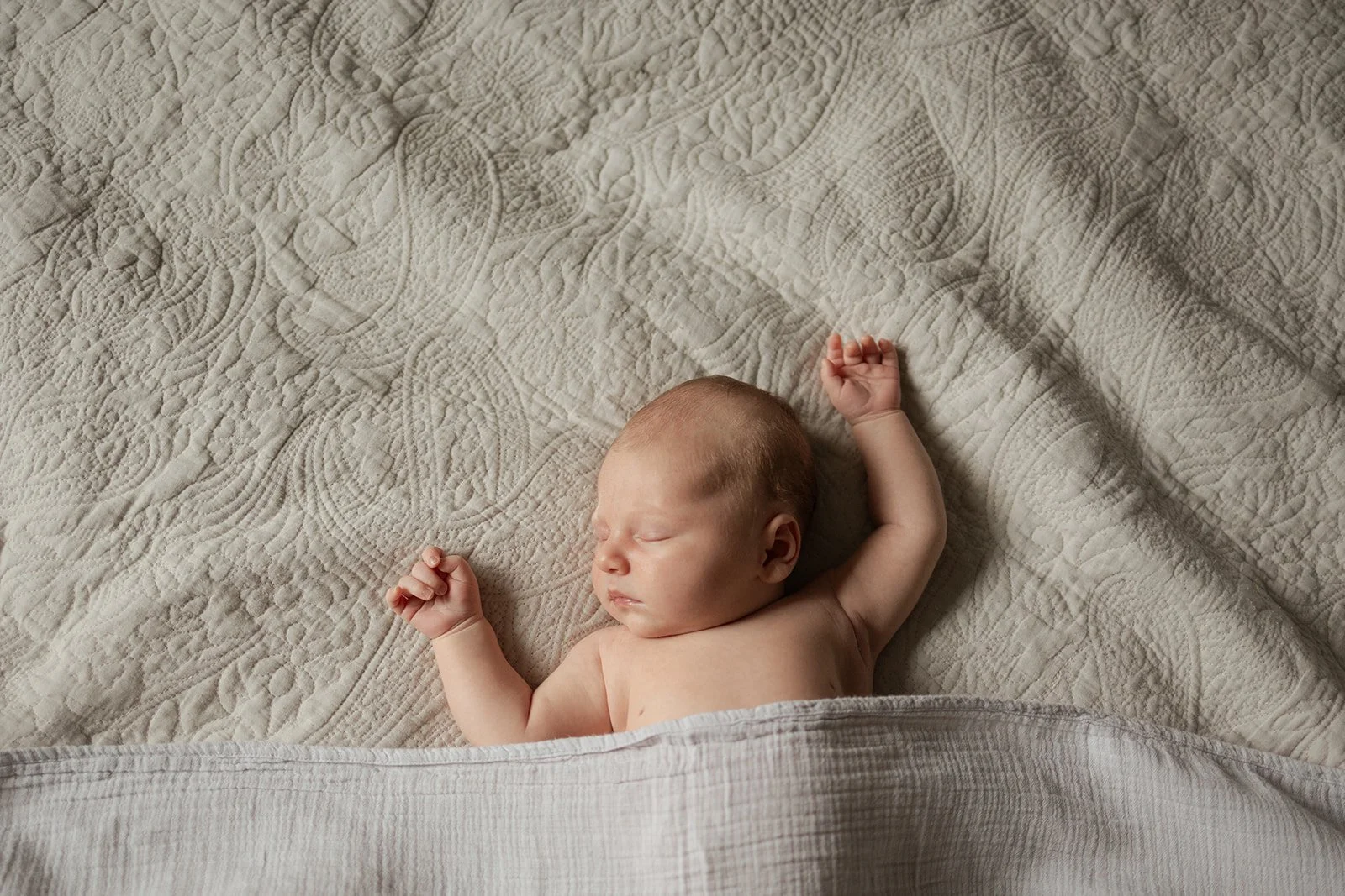 SHP_newborn-119.jpg
