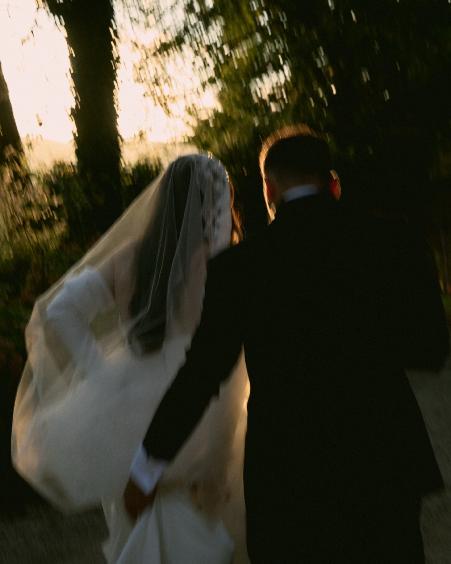 Tuscany Light

Captured for @esme.filmandphotography 

#wedding #weddingphotographer #italyweddingphotographer