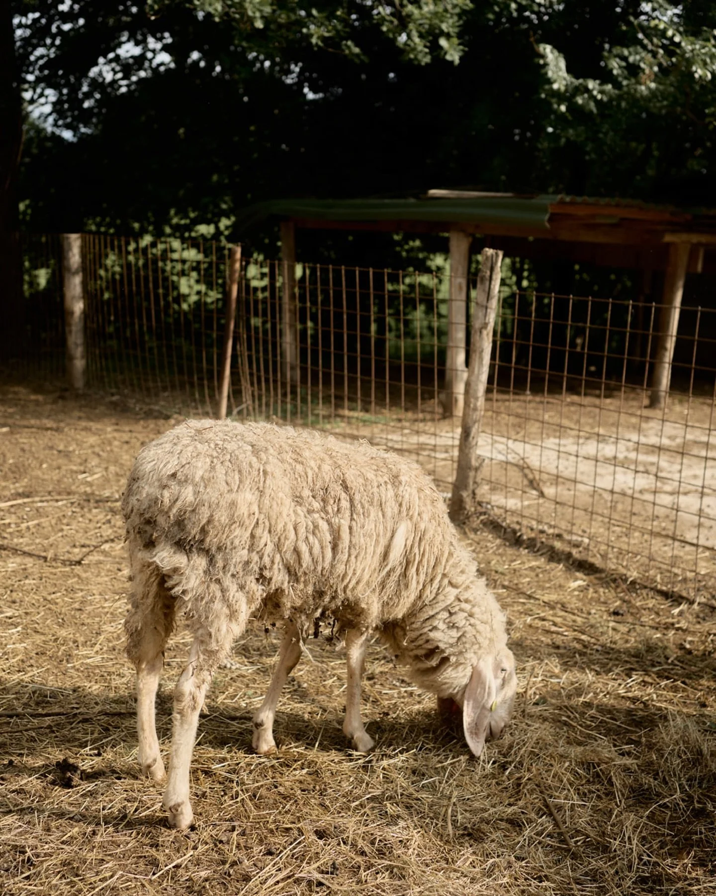 You don't need fancy venue.
You need good company.

Venue &mdash; @trattoriailportico.it 

#wedding #weddingphotography #weddingphotographer #italyweddingphotographer