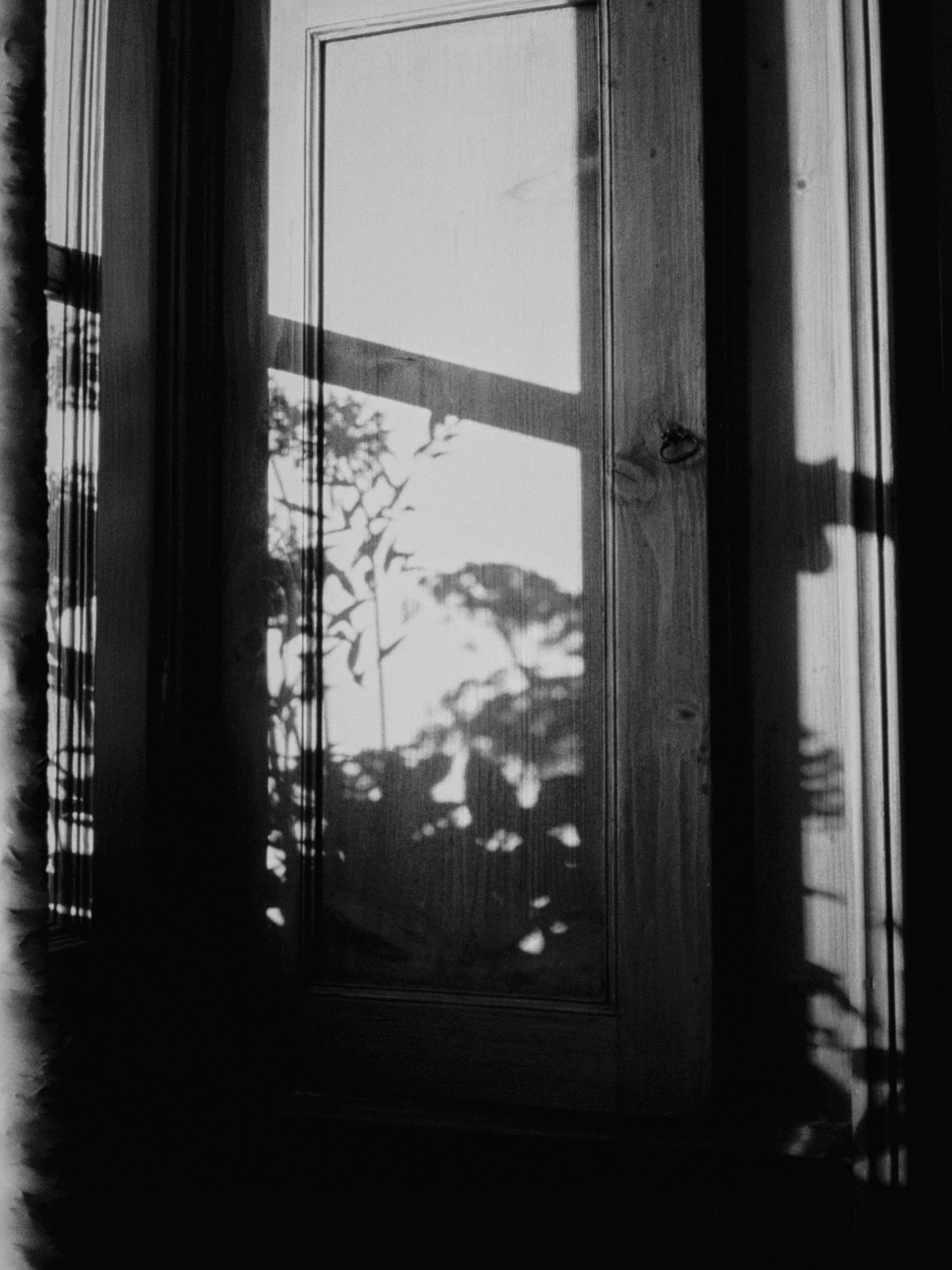 LOOKING _ FOR A / GREAT _ ESCAPE

#flowers #wedding #shadow