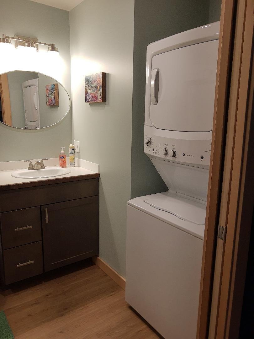 Lupine Cabin Bathroom with Washer and Dryer.jpg