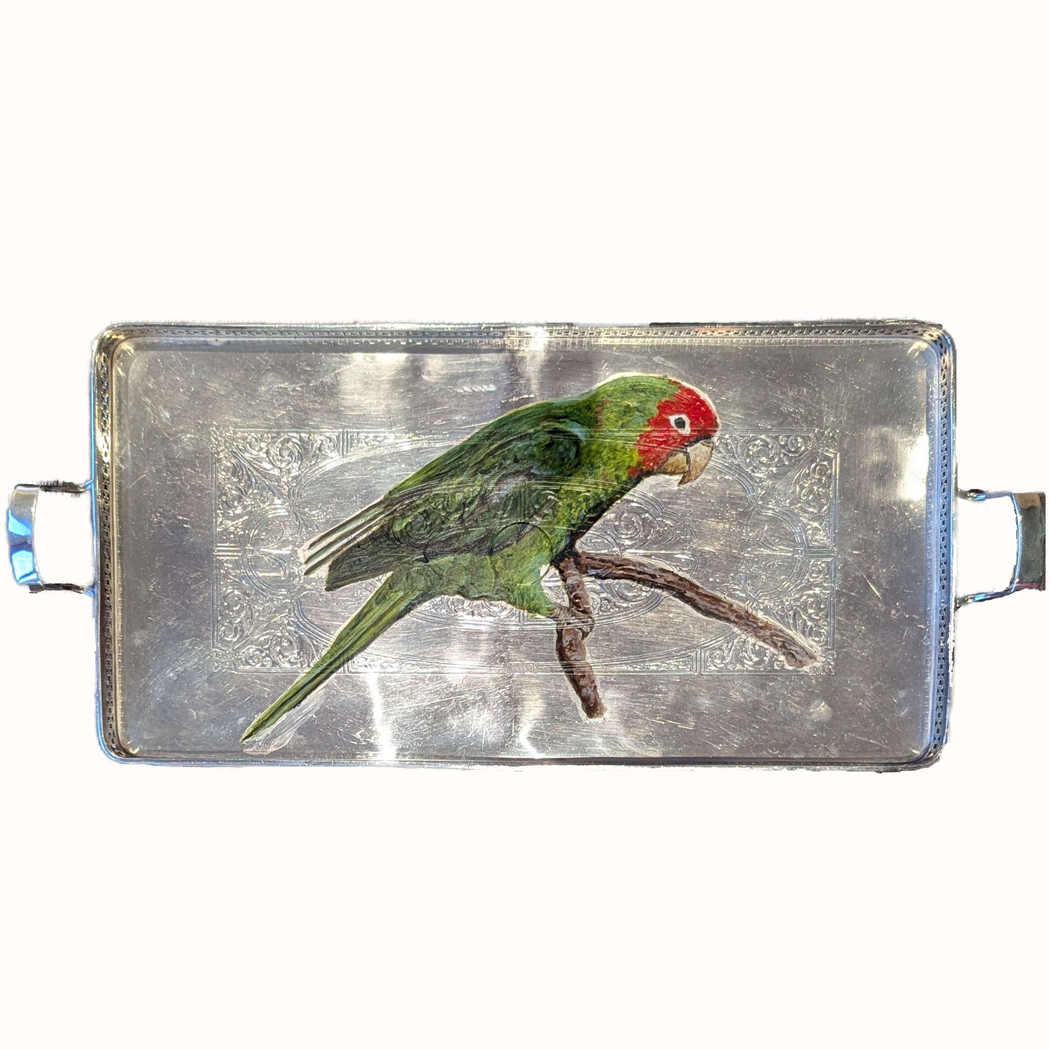 Wild Parrot Rectangular no background.jpg