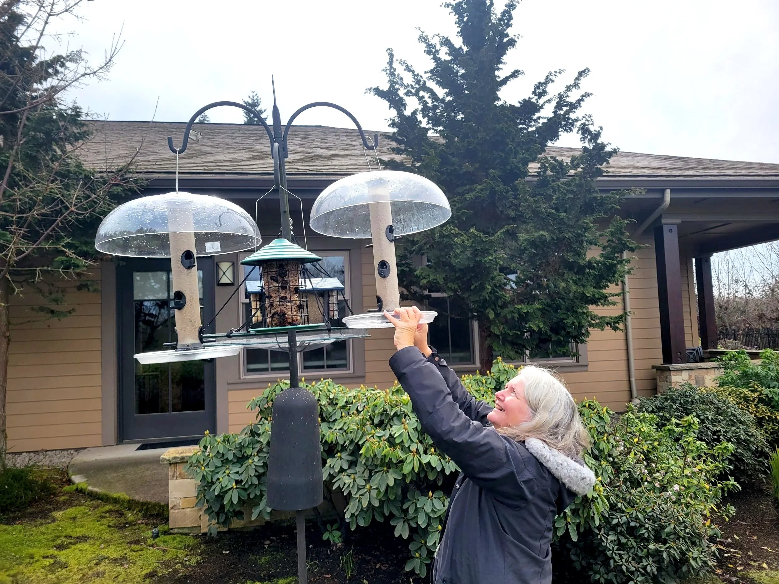 Chickadees, Finches and Hummigbirds - Oh, My!