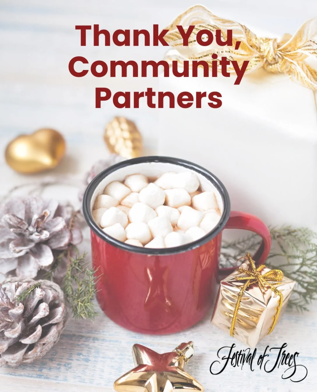 Thank you to the community partners who&rsquo;ve stepped up to offer a craft workshop, snack, or coffee station at Festival of Trees and Festival of Trees Senior &amp; Friends Day:

Churchill Estates Retirement Community
New Horizons In-Home Care
AIM