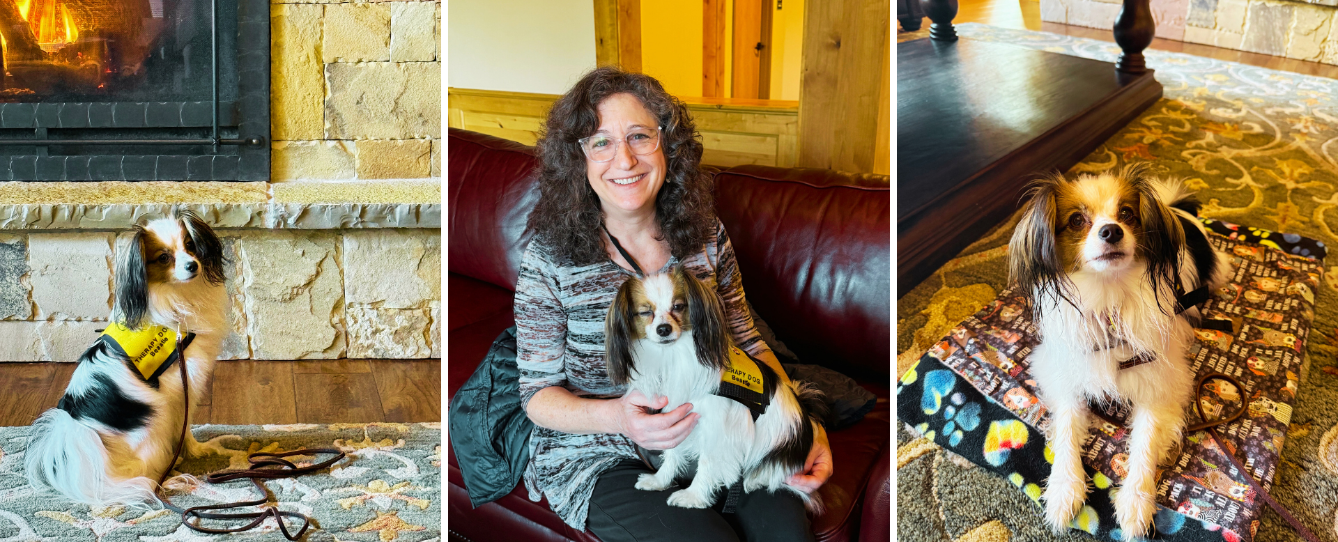 A Small Dog Who Makes a Big Difference