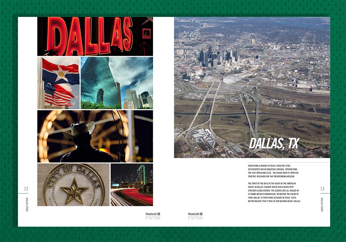 Dom_Fillion_Dallas_Stars_design_3.jpg