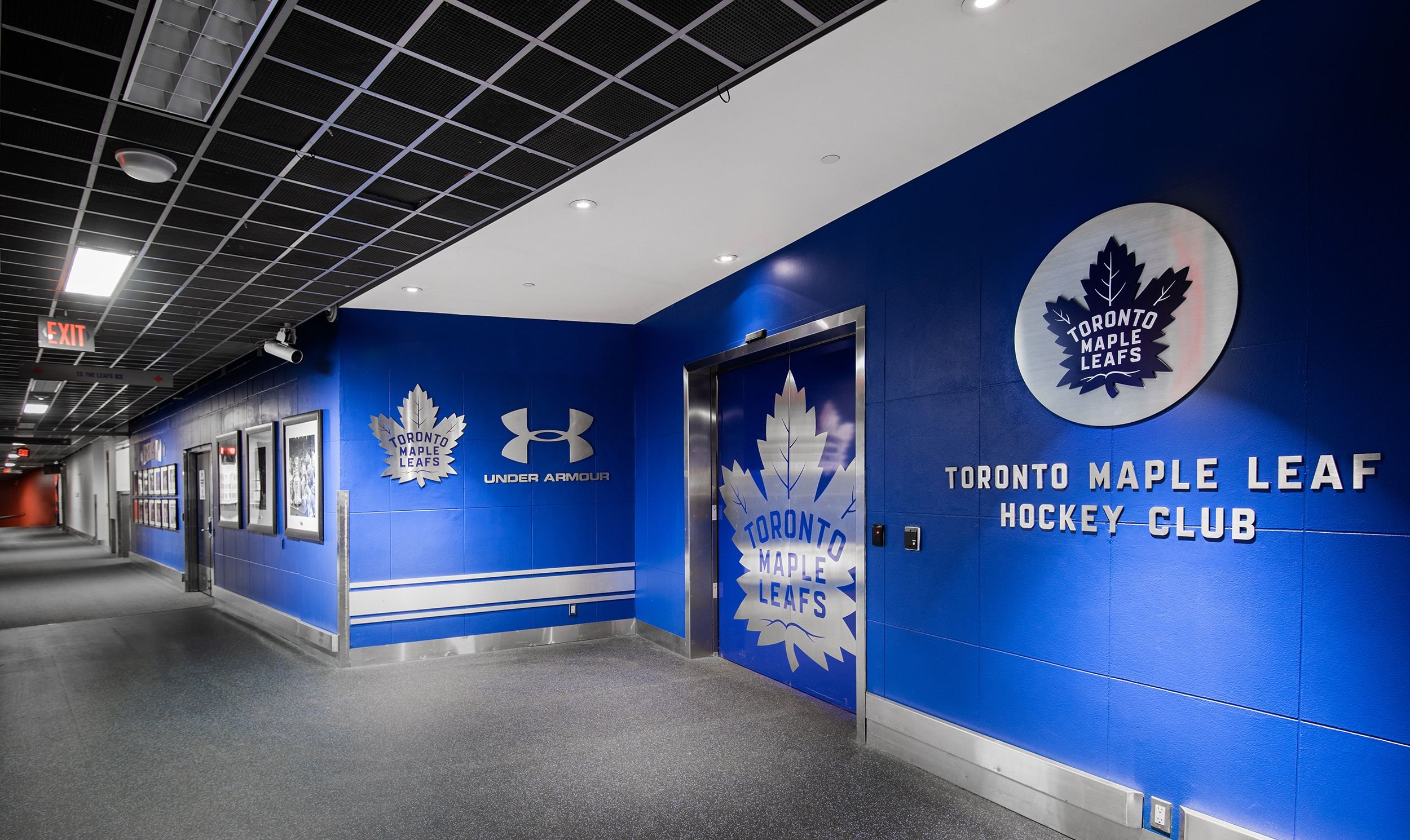 Dom_Fillion_Toronto_MapleLeafs_lockerroom.jpg