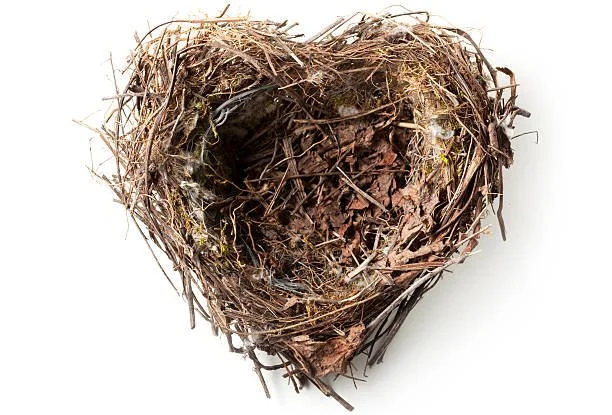 So the Kids Are Gone… Now What?           How Empty Nester Moms Can Reignite Themselves and Find a New Purpose