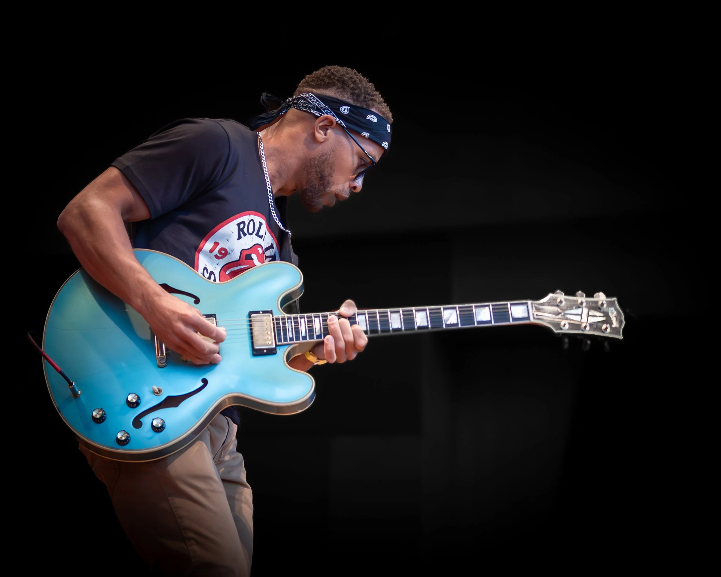 2025 Chicago Blues Festival