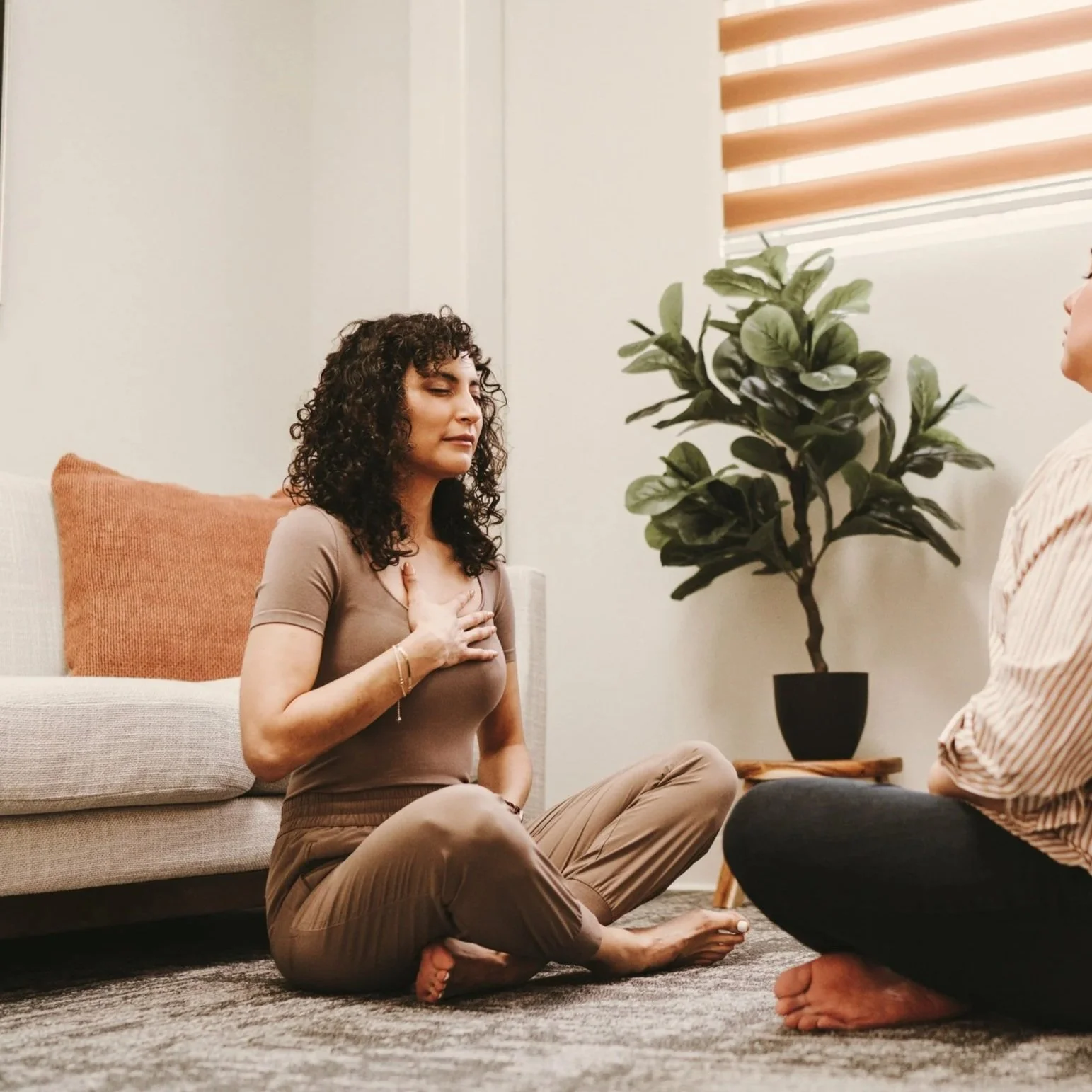 Mindfulness Stress Reduction