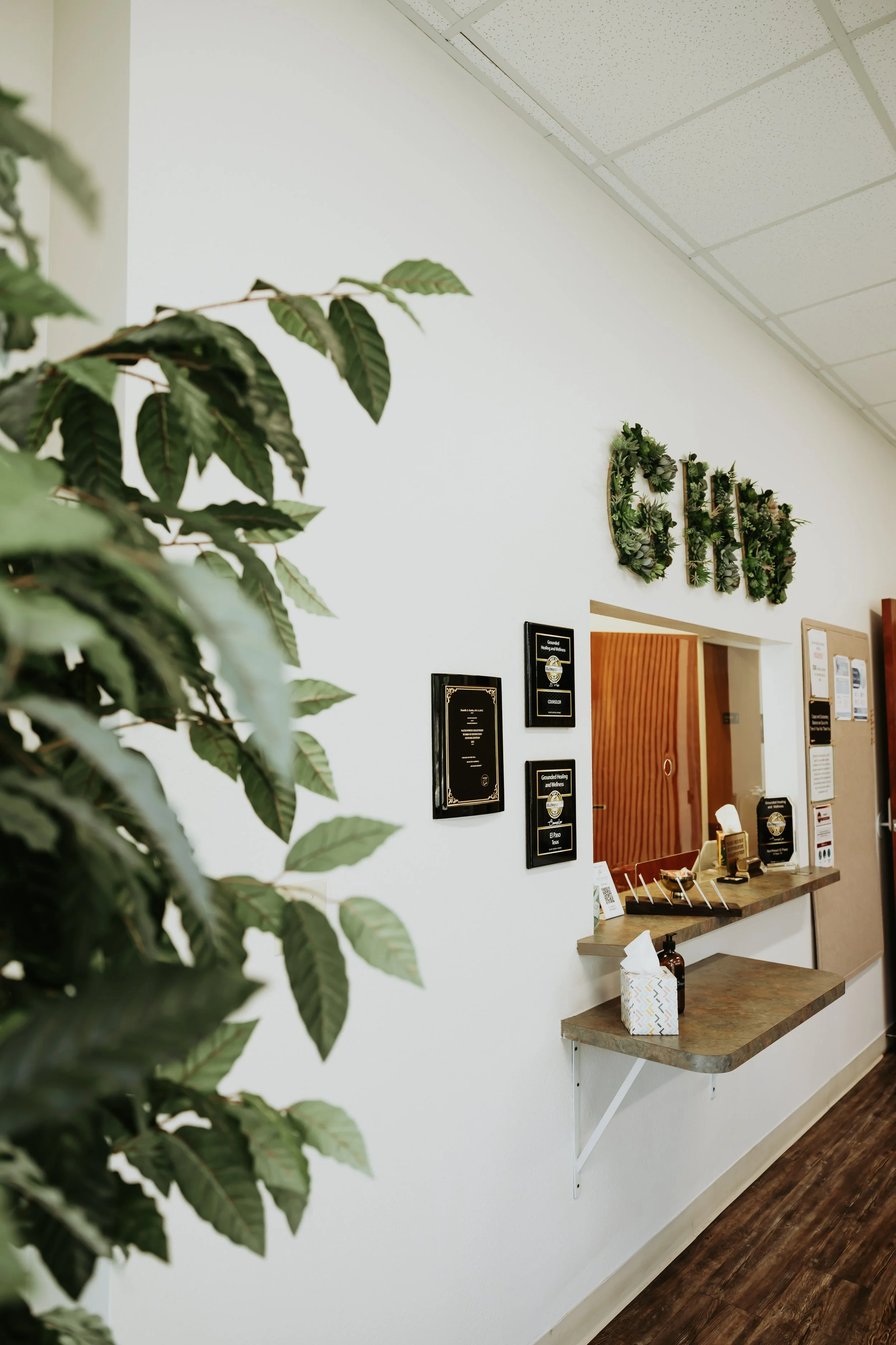 Inside a reception area with a white wall, decorated with black framed certificates and a green leafy wreath spelling out 'DM'. There's a counter with a tissue box and a hand sanitizer bottle, and a wooden door with a small round window. The floor is
