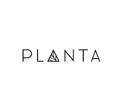 planta.jpg