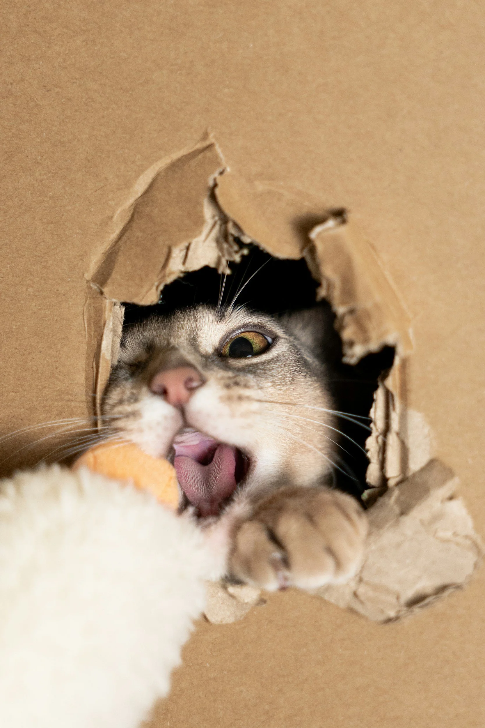 So what kind of nonsense have I been on?