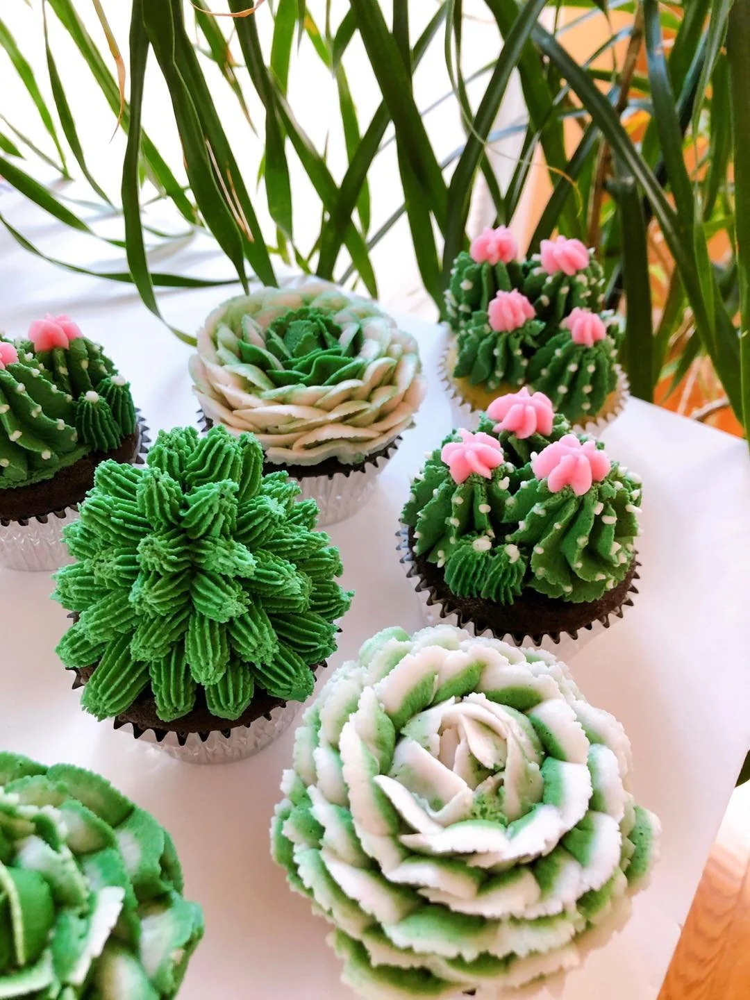Floral Plant Cupcakes
