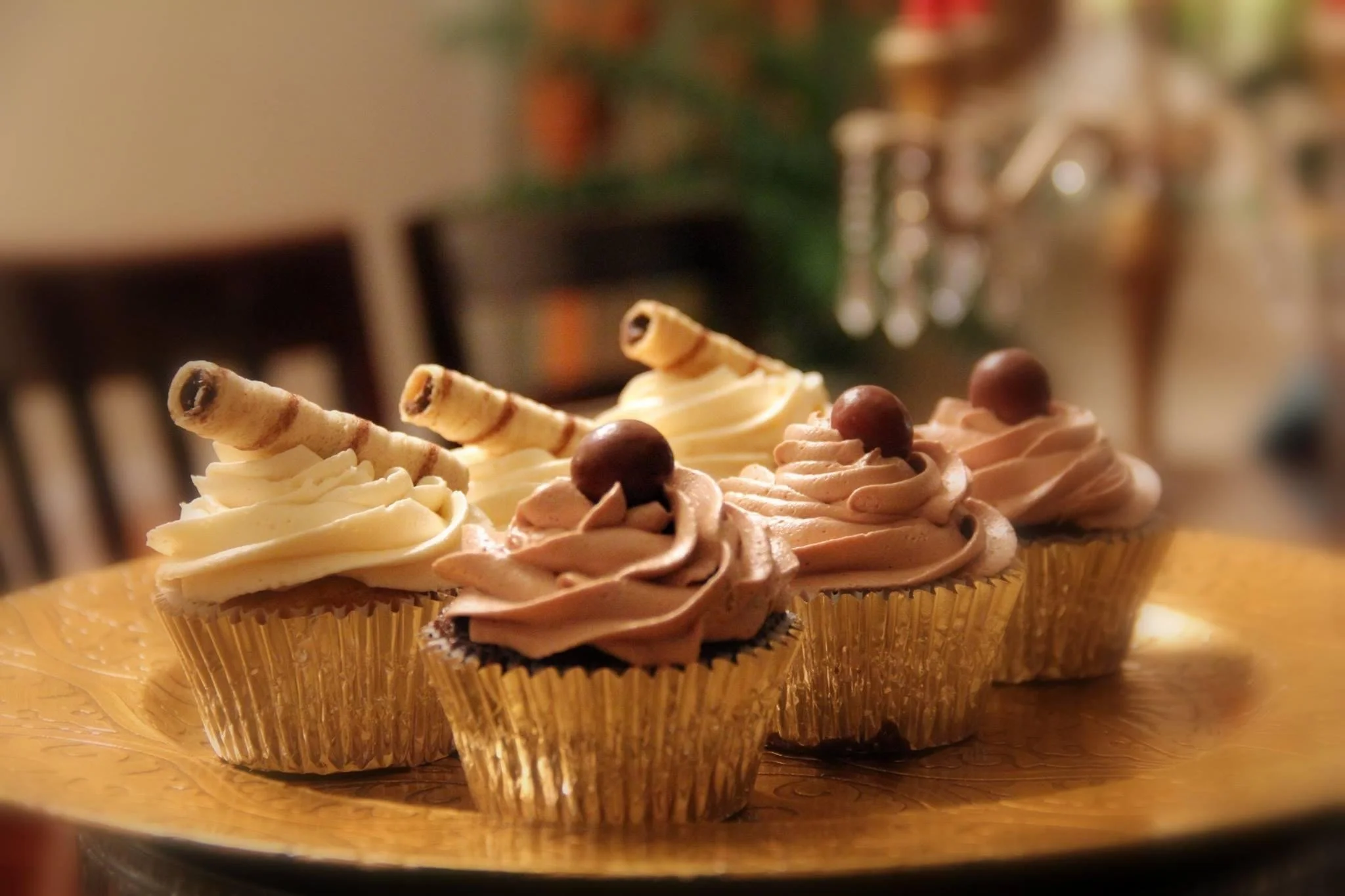 Chocolate Cupcakes