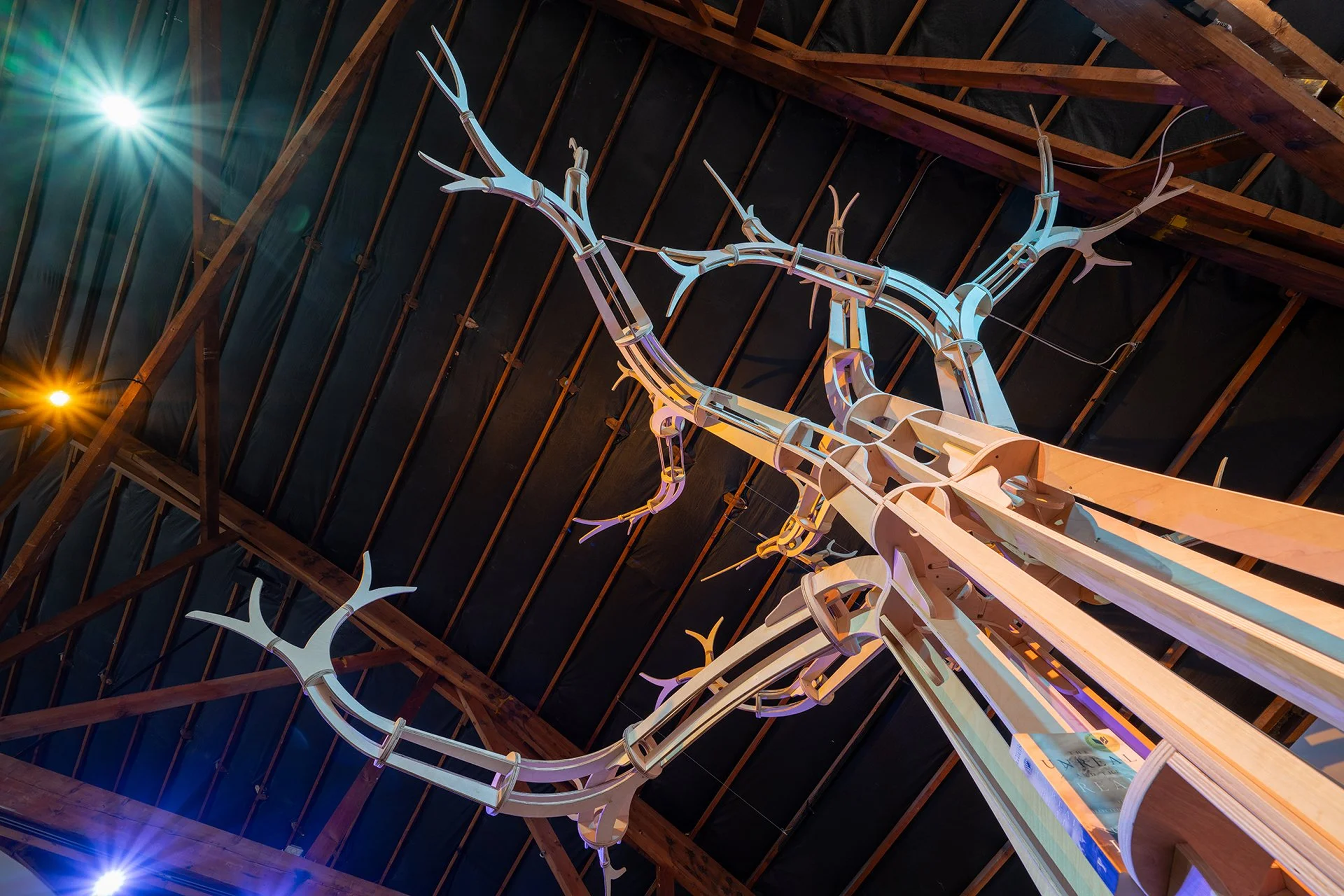 Photo by Mario Gallucci