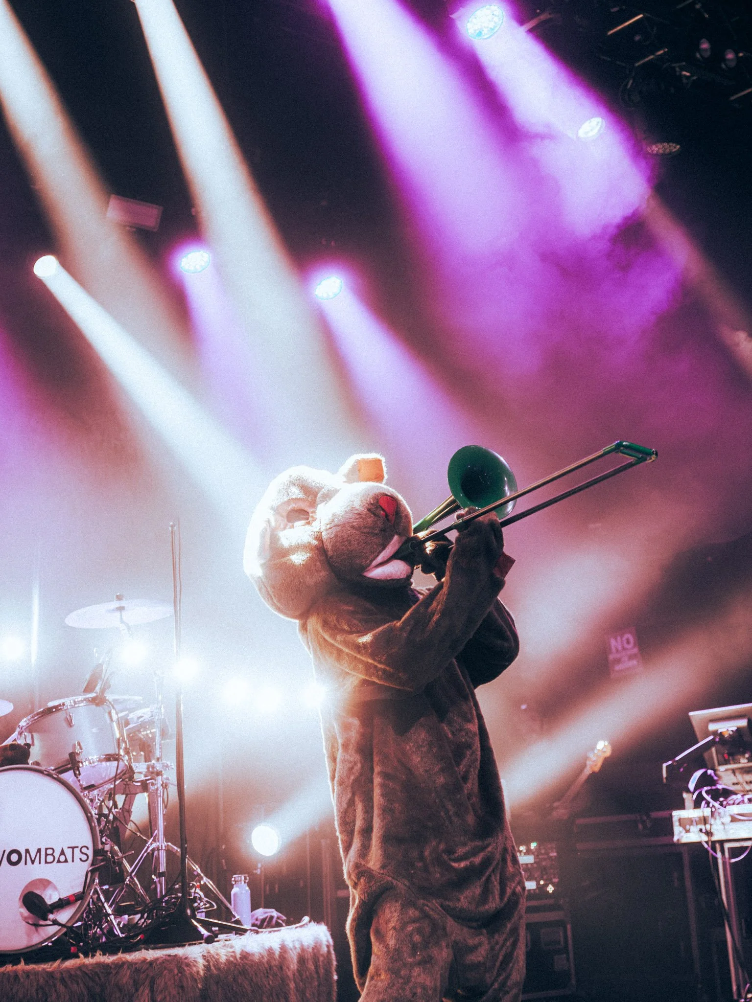HannahPena_TheWombats_BuckheadTheatre_Atlanta-16.jpg