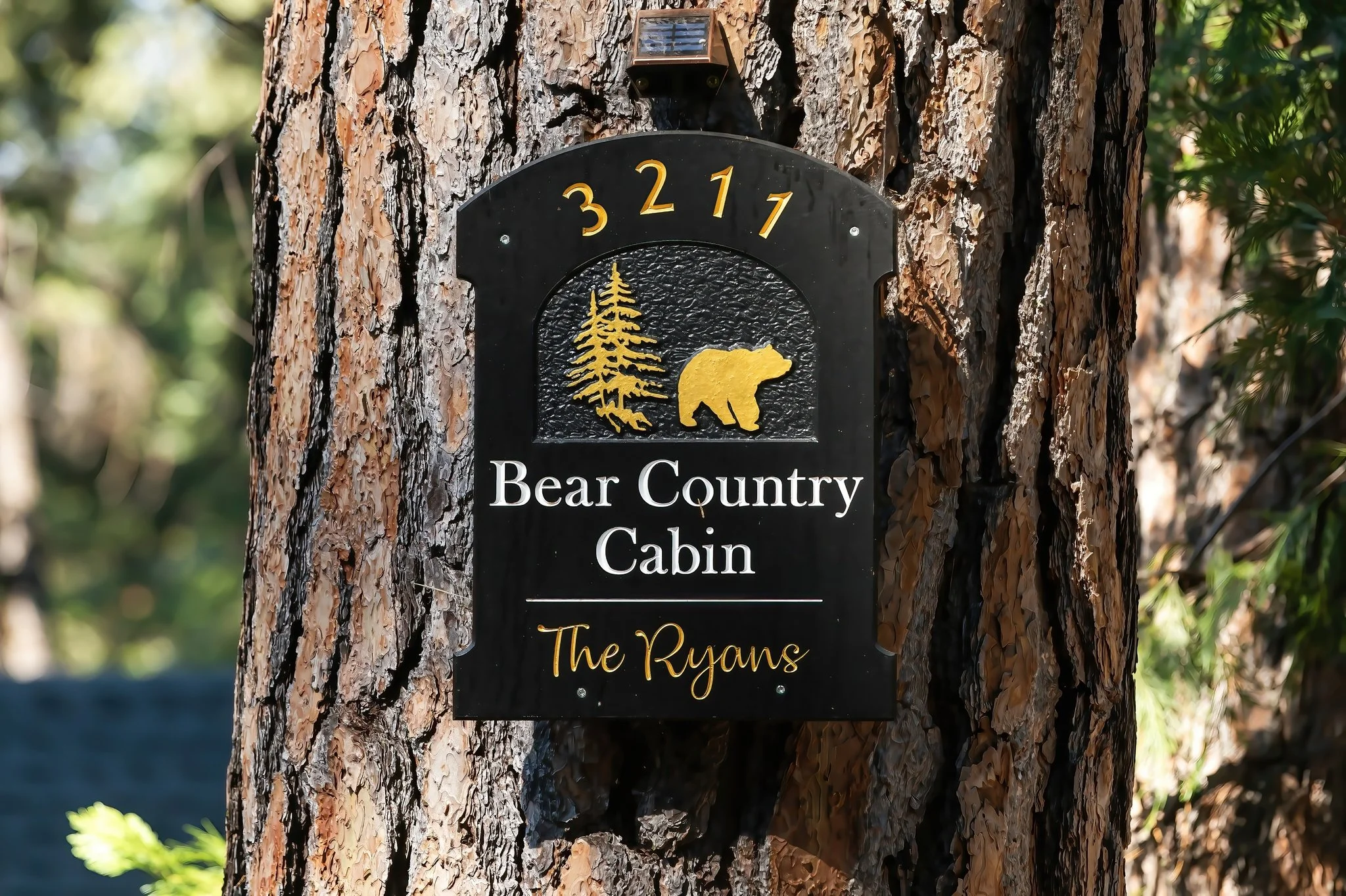 Bear Valley1.jpg