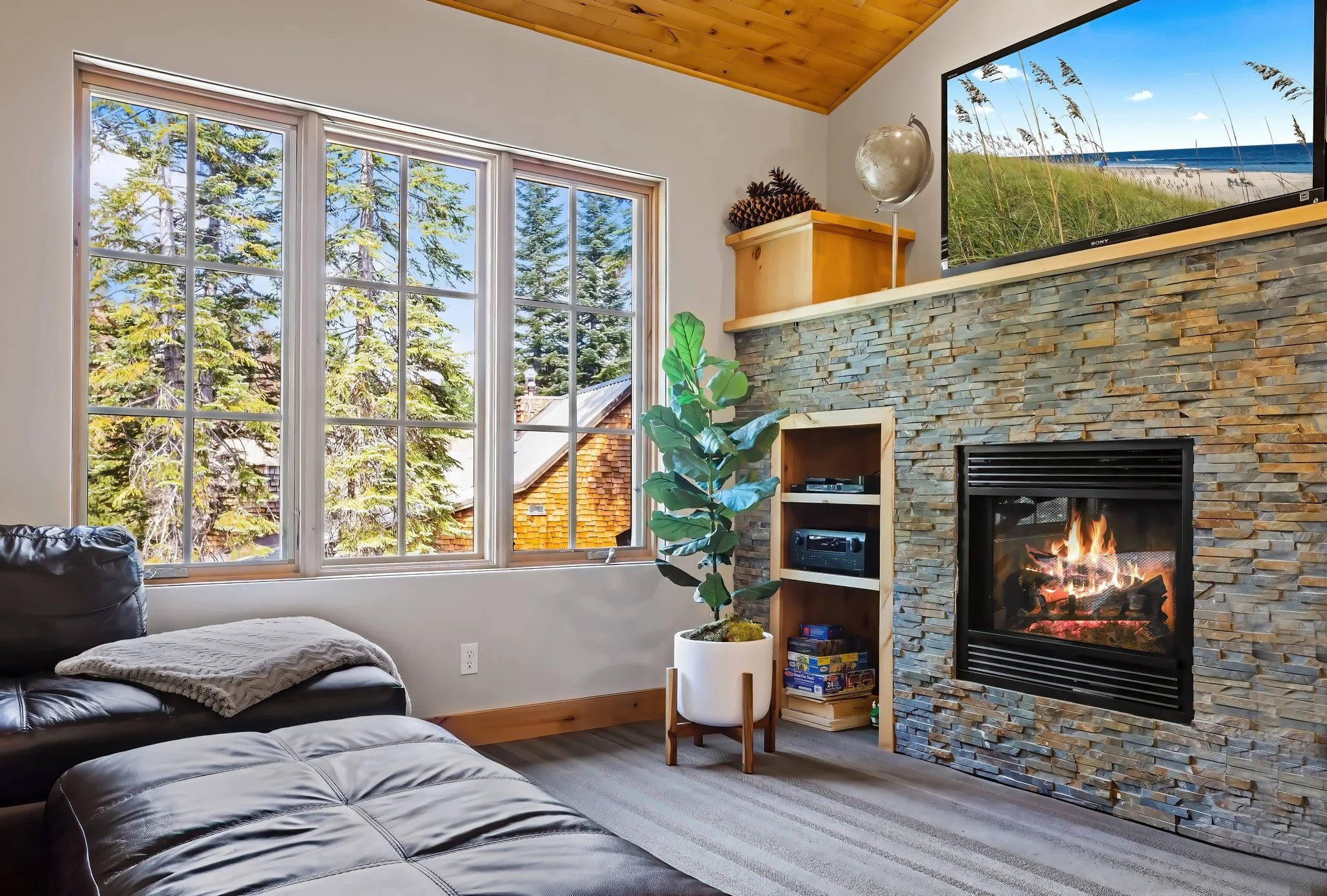Summer in Bear Valley