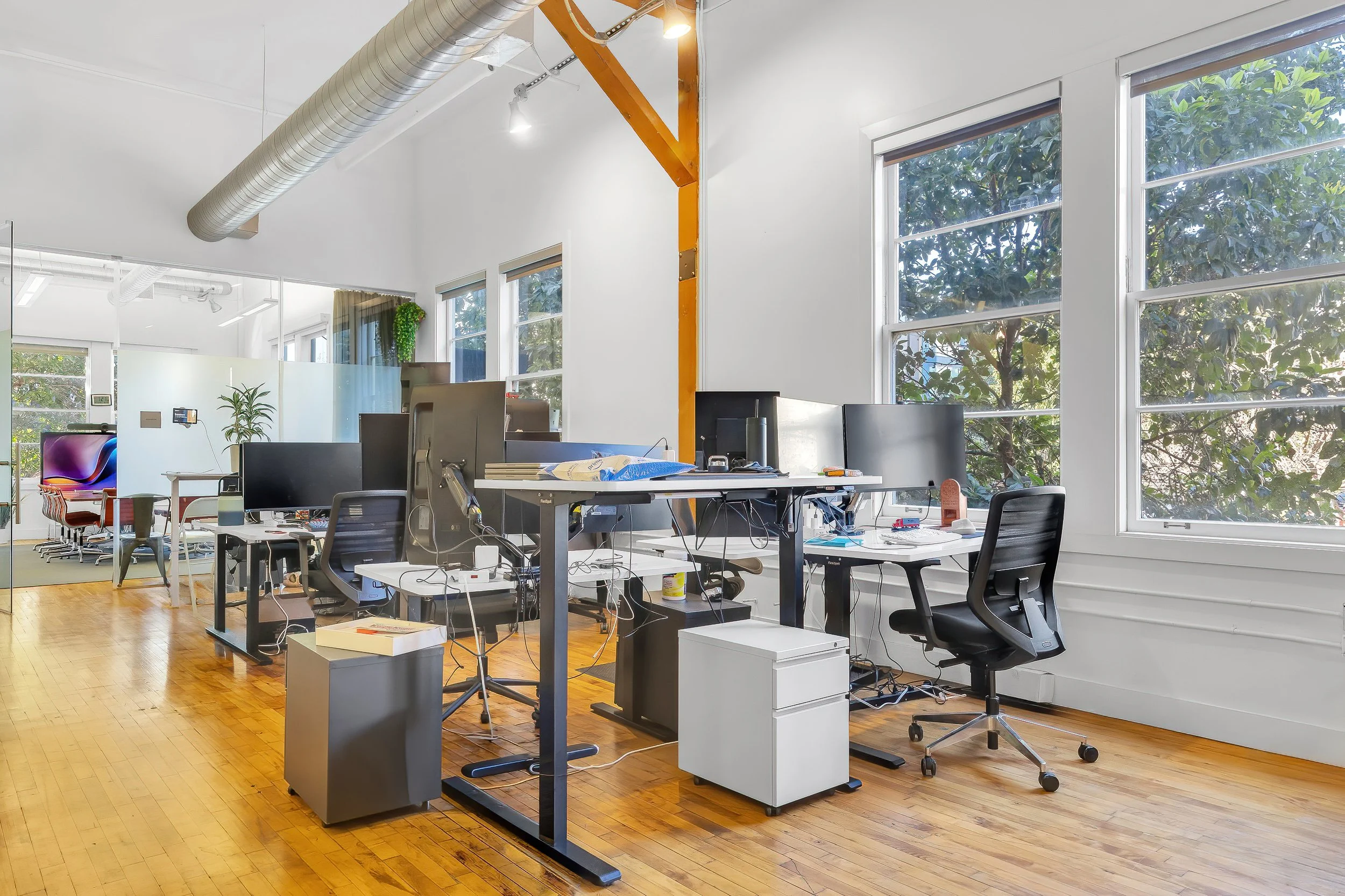 _X4A5741 copy-DeNoiseAI-standard.jpg