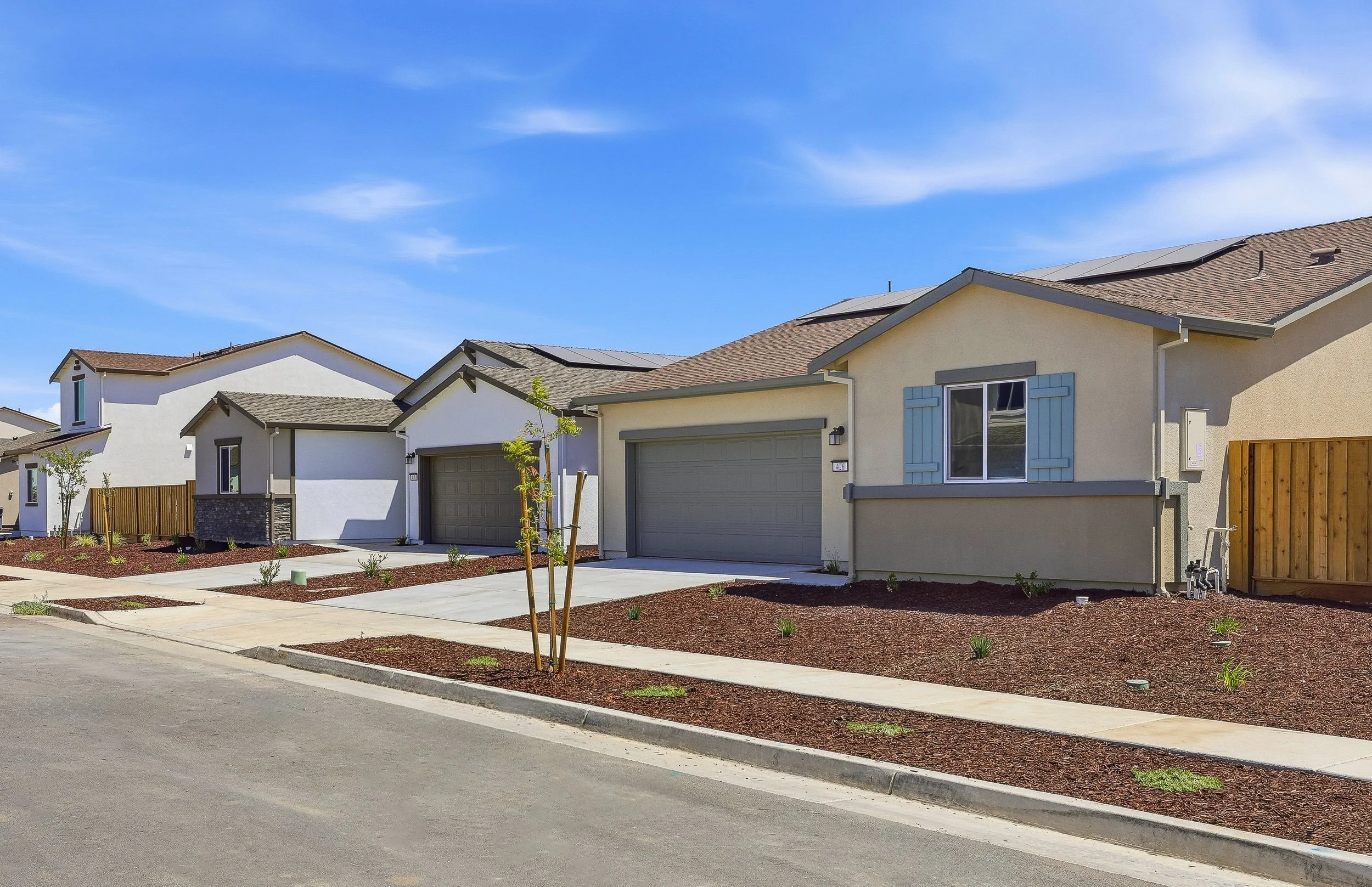 Row of modern suburban houses with landscaped front yards and blue sky.