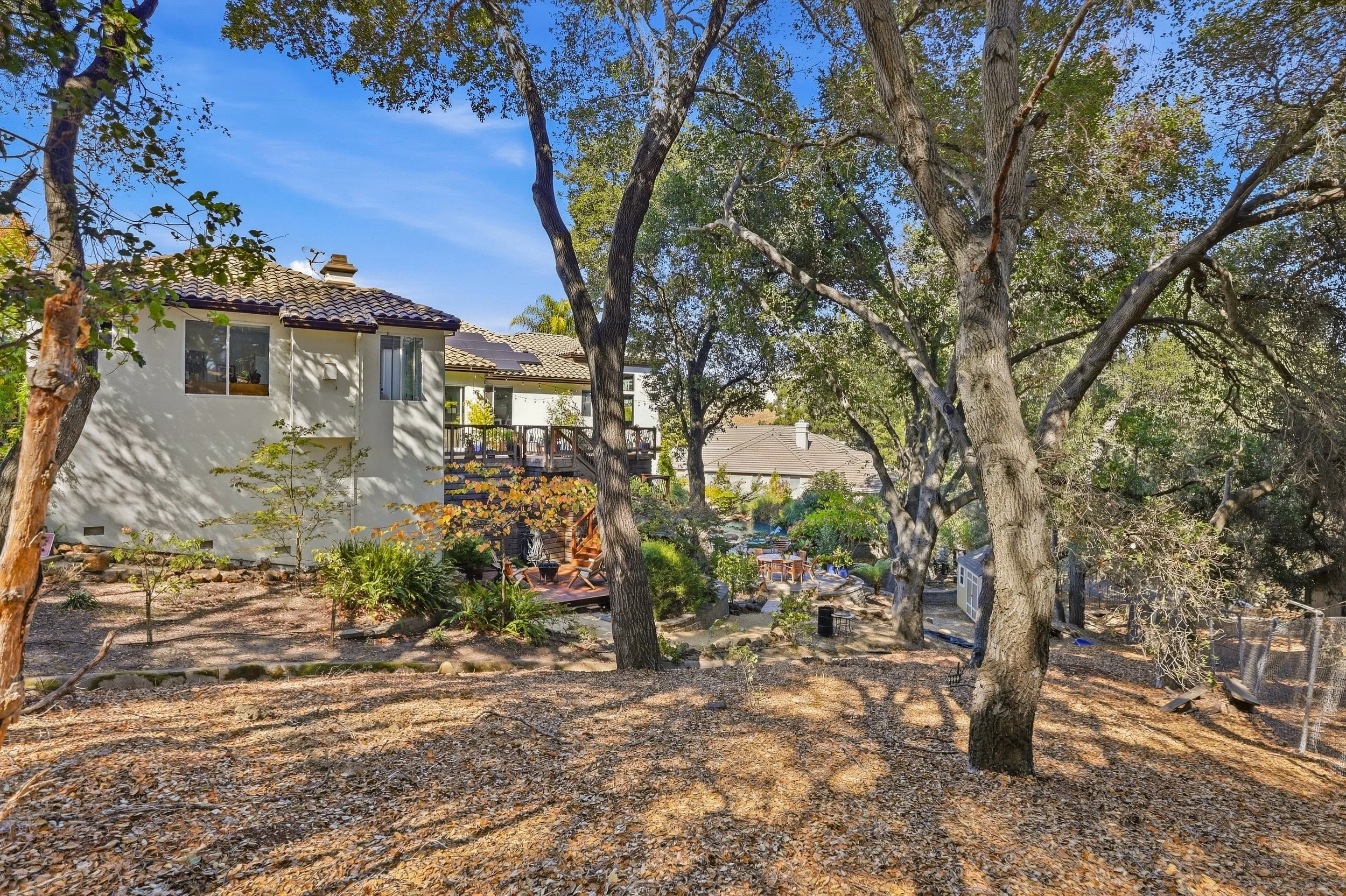 Backyard garden with mature trees and a pergola.