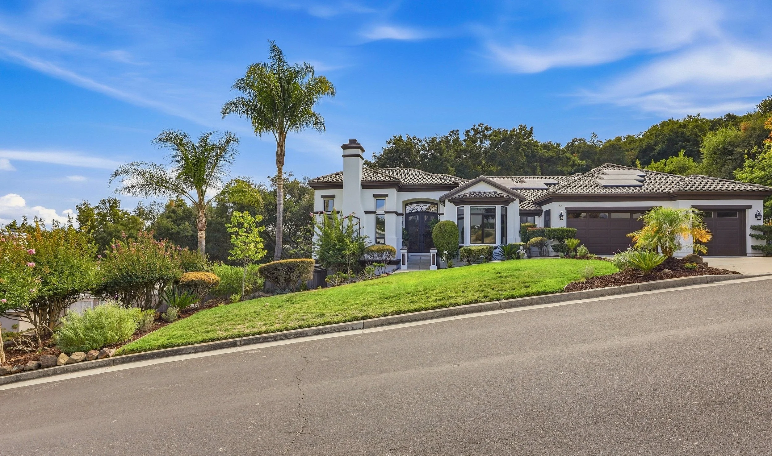 Gilroy home with palm trees, landscaped lawn, and a wide driveway.