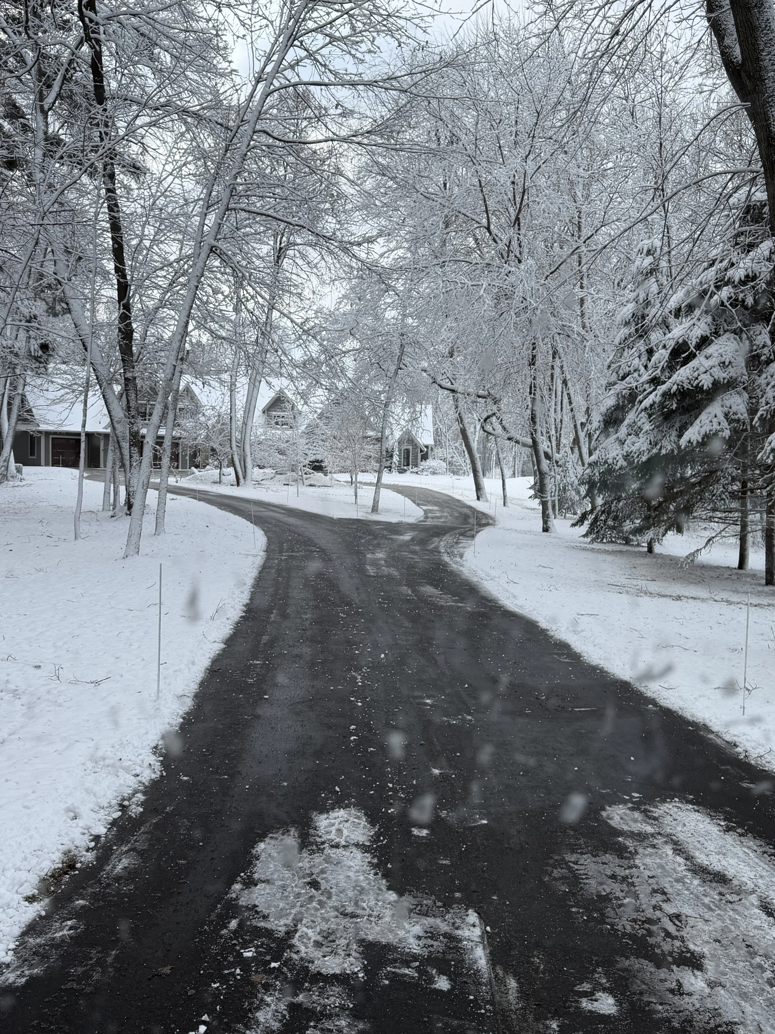 Snow-covered winding driveway leading to houses amidst snow-laden trees in a suburban neighborhood.
